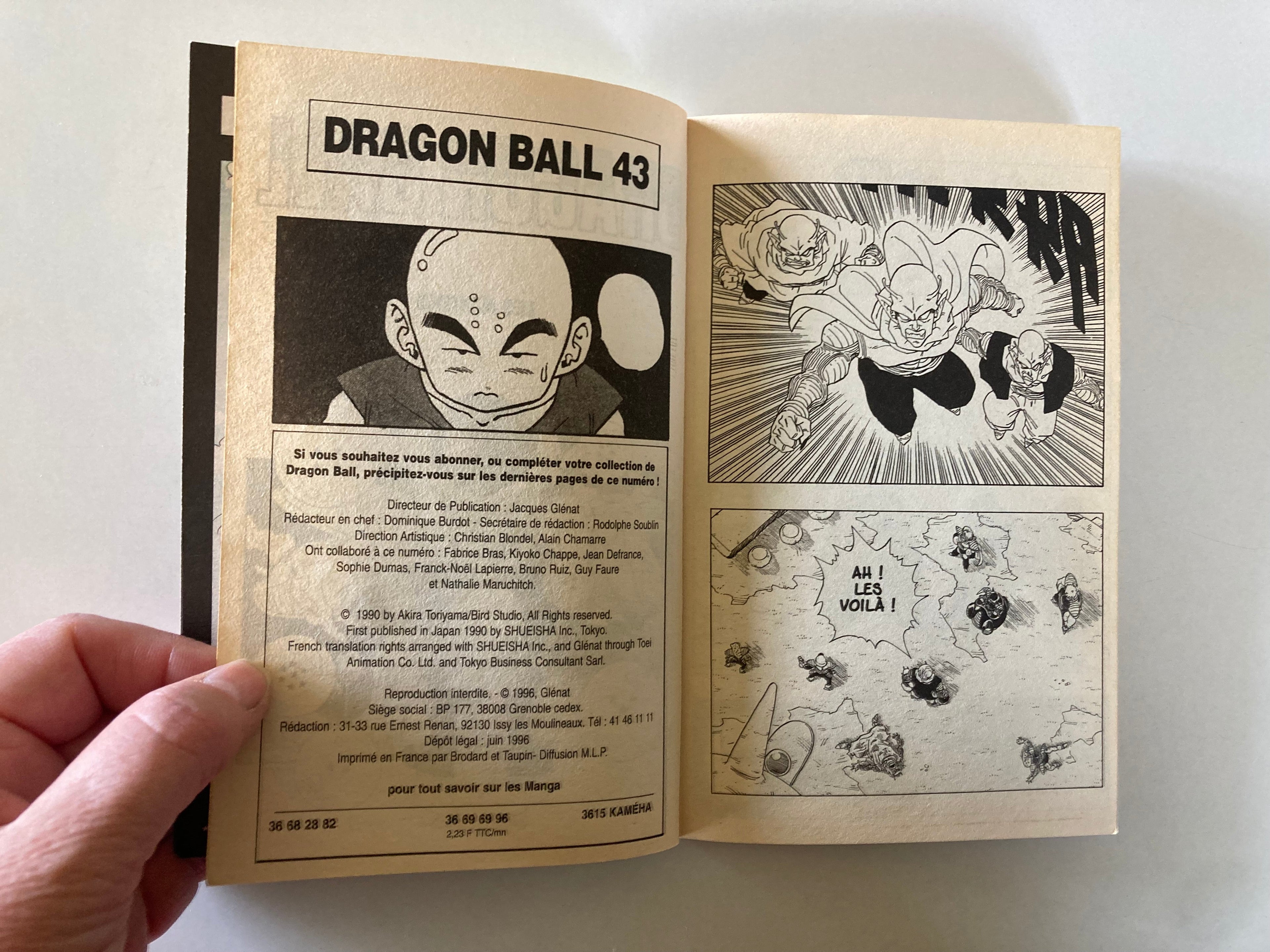 42 Volumes of Akira Toriyama Dragon Ball Graphic Novels in French Francaise  Nos 43-84 Glenat 1996-