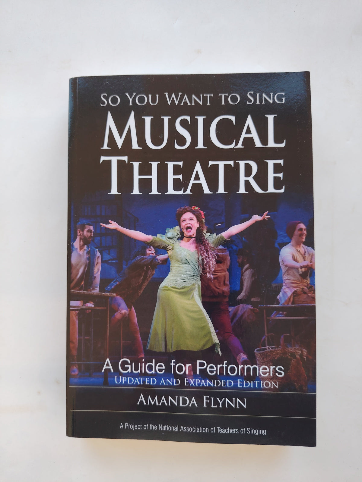 So You Want to Sing Musical Theatre A Guide for Performers by Amanda Flynn Paperback from 2022