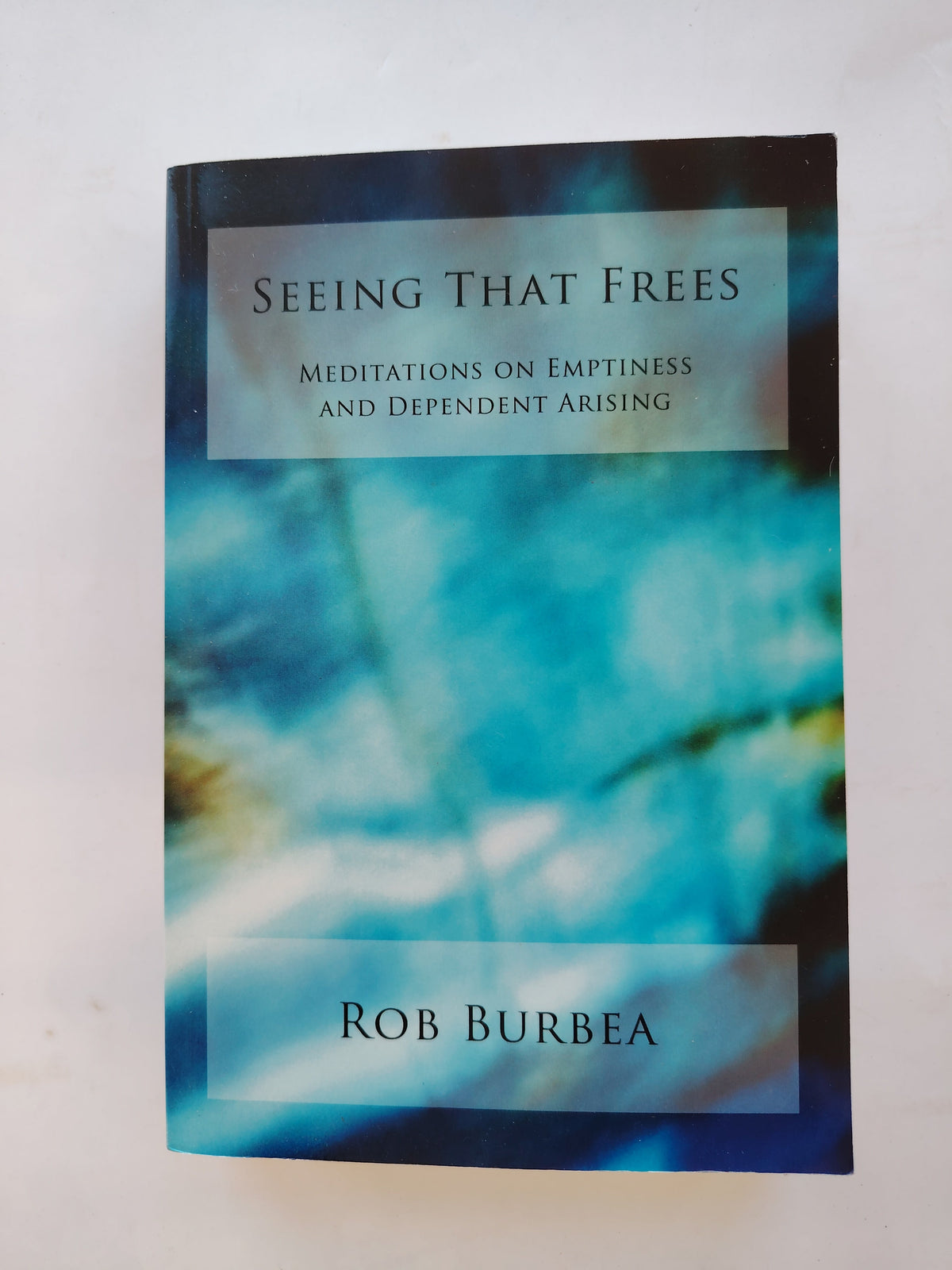 Seeing That Frees Meditations on Emptiness and Dependent Arising by Rob Burbea 2014 Paperback
