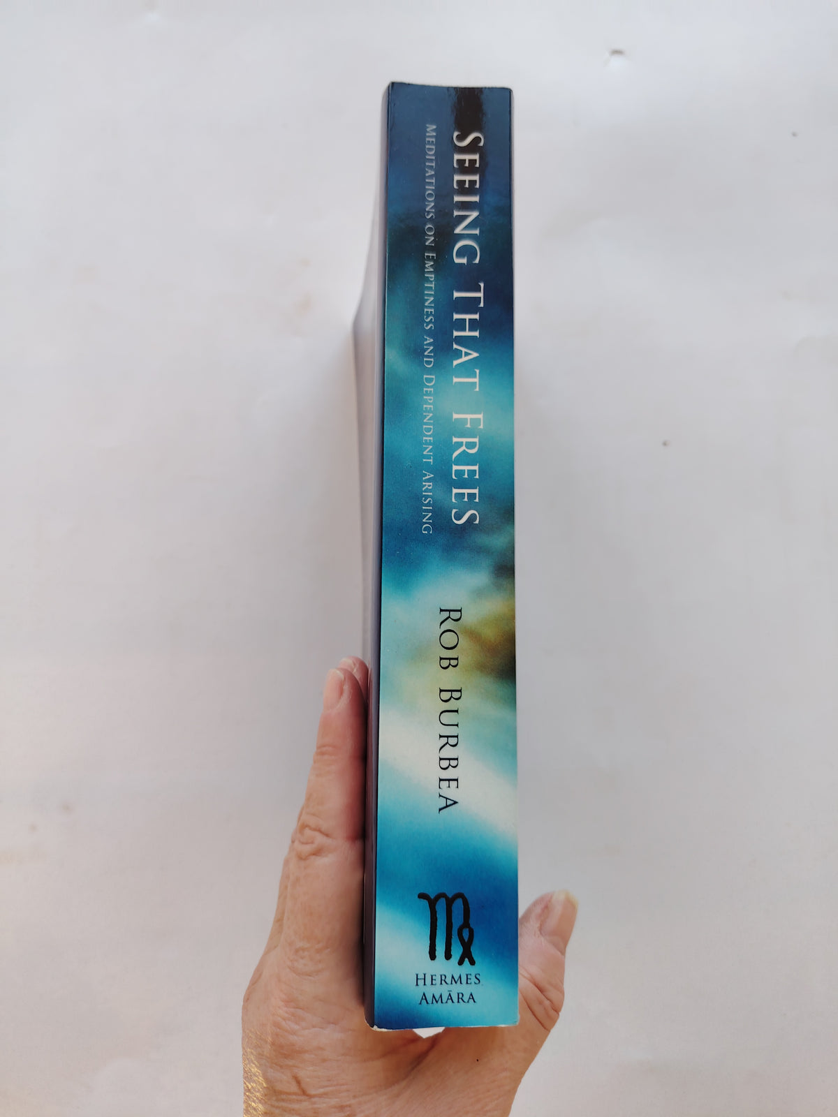 Seeing That Frees Meditations on Emptiness and Dependent Arising by Rob Burbea 2014 Paperback