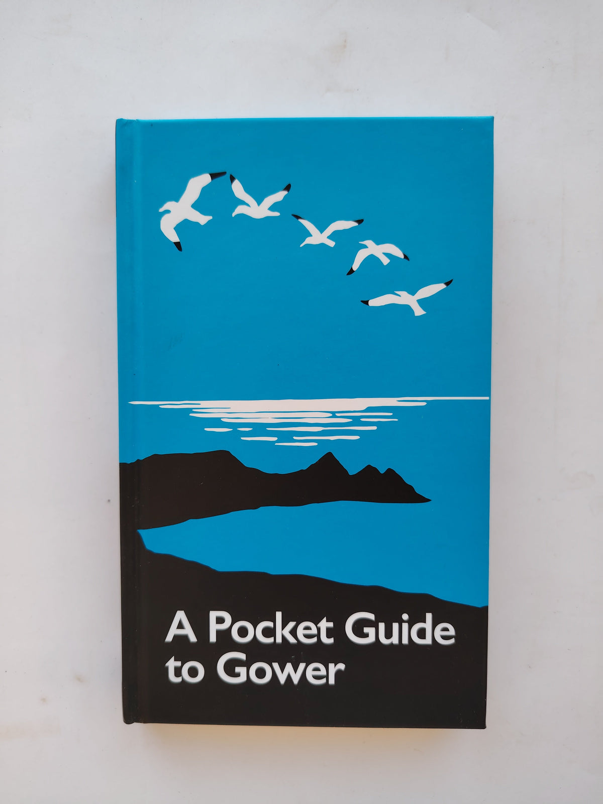 A Pocket Guide to Gower Published by The Gower Society 7th Edition 2019 Like New