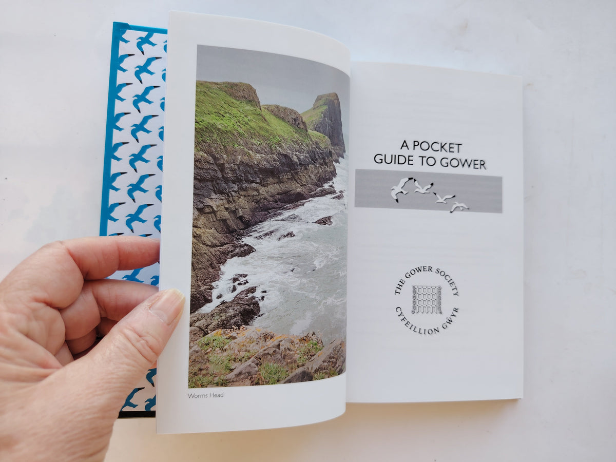 A Pocket Guide to Gower Published by The Gower Society 7th Edition 2019 Like New