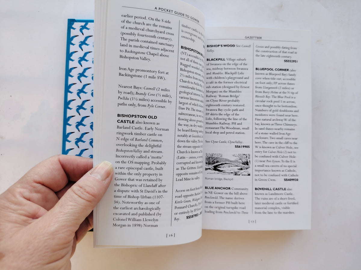 A Pocket Guide to Gower Published by The Gower Society 7th Edition 2019 Like New