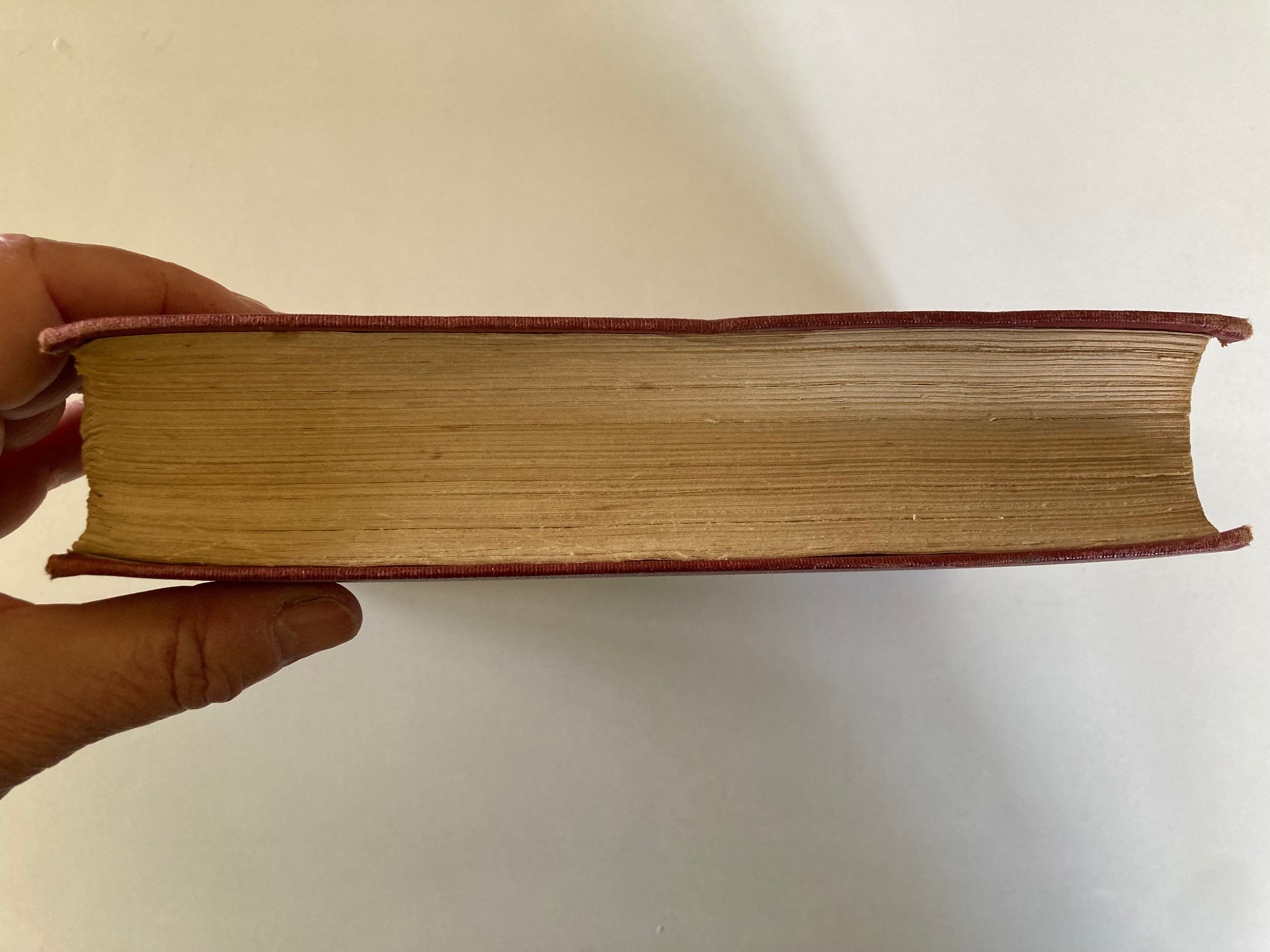 The Possessed by Fyodor Dostoevsky Translated by Constance Garnett 1913 First Edition Cloth Hardback Book