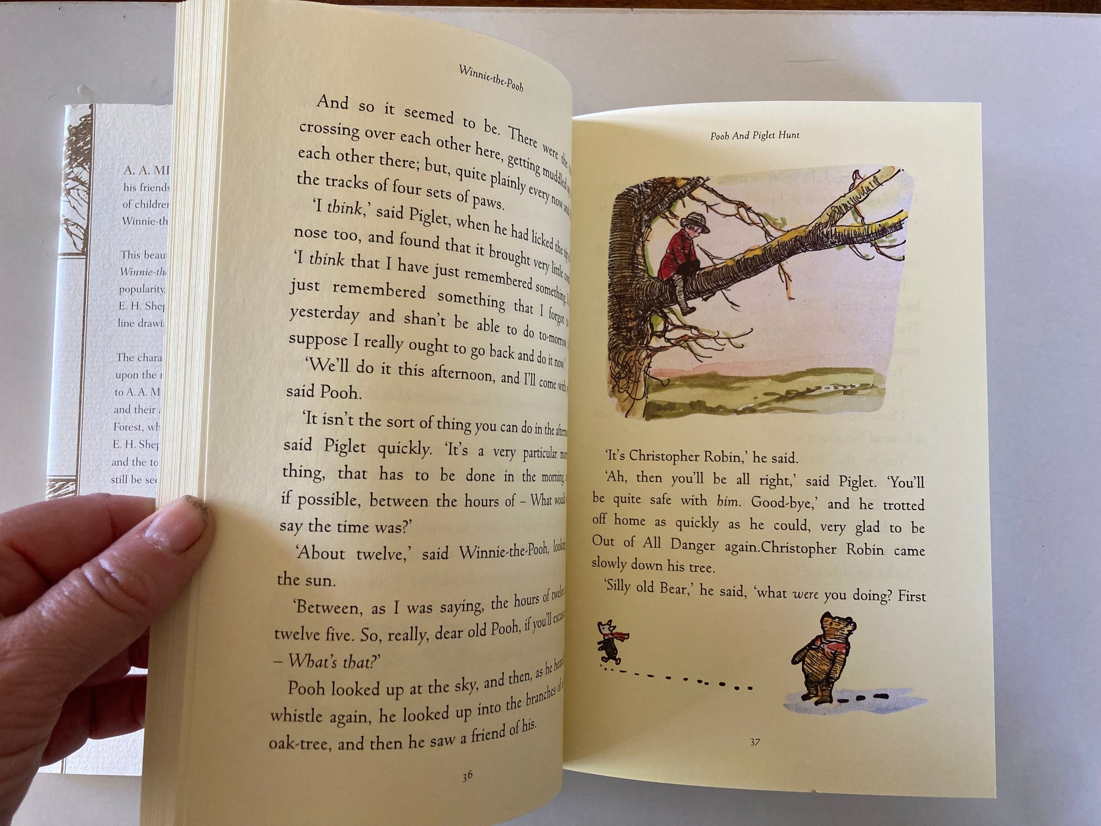 Winnie the Pooh A A Milne with Decorations by E H Shepard 80th Anniversary Edition with Swarovki Purchase Slip