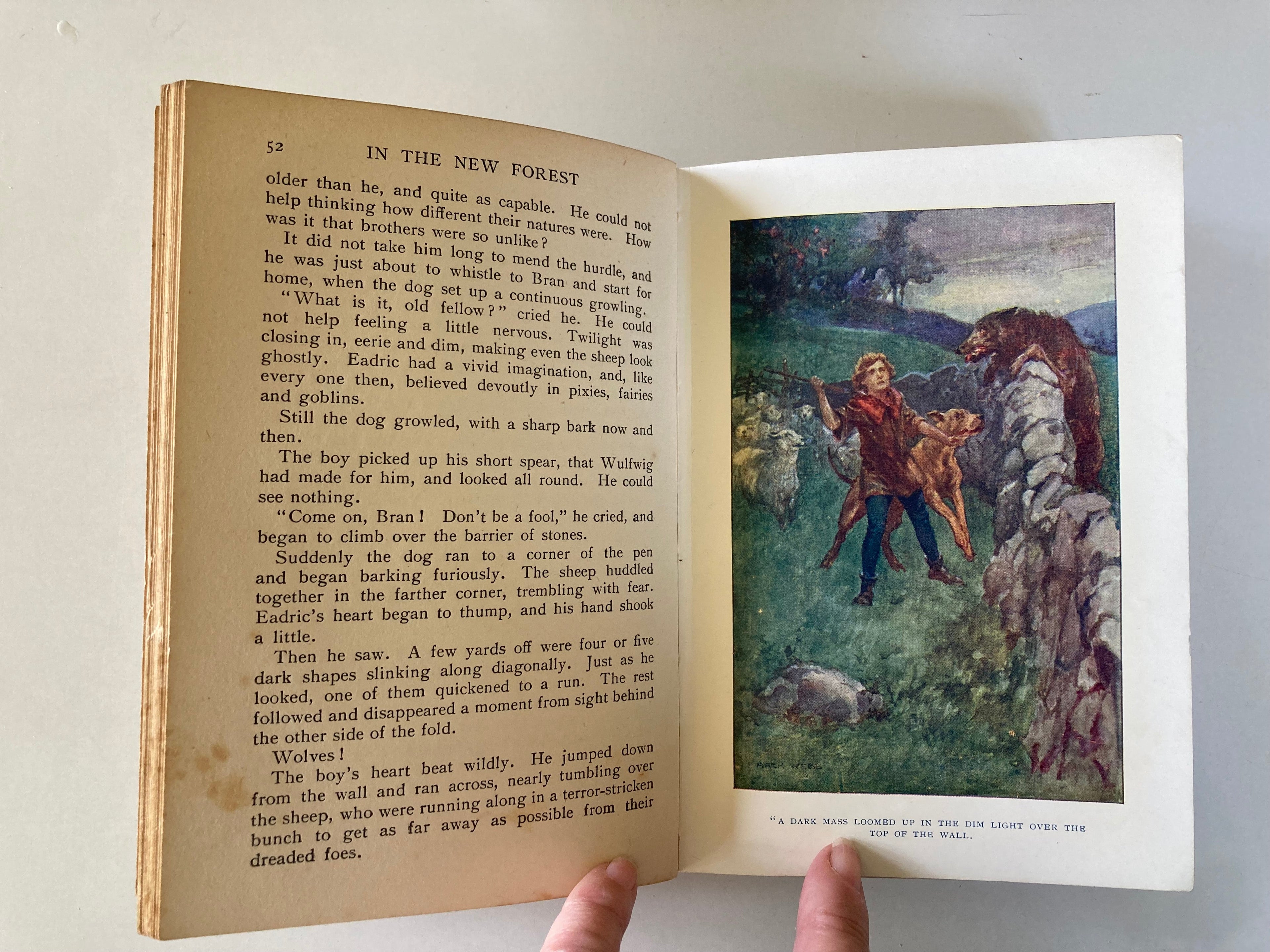 Herbert Strang's Historical Series With the Black Prince The Reign of Edward VIII & In the New Forest The Reign of William I