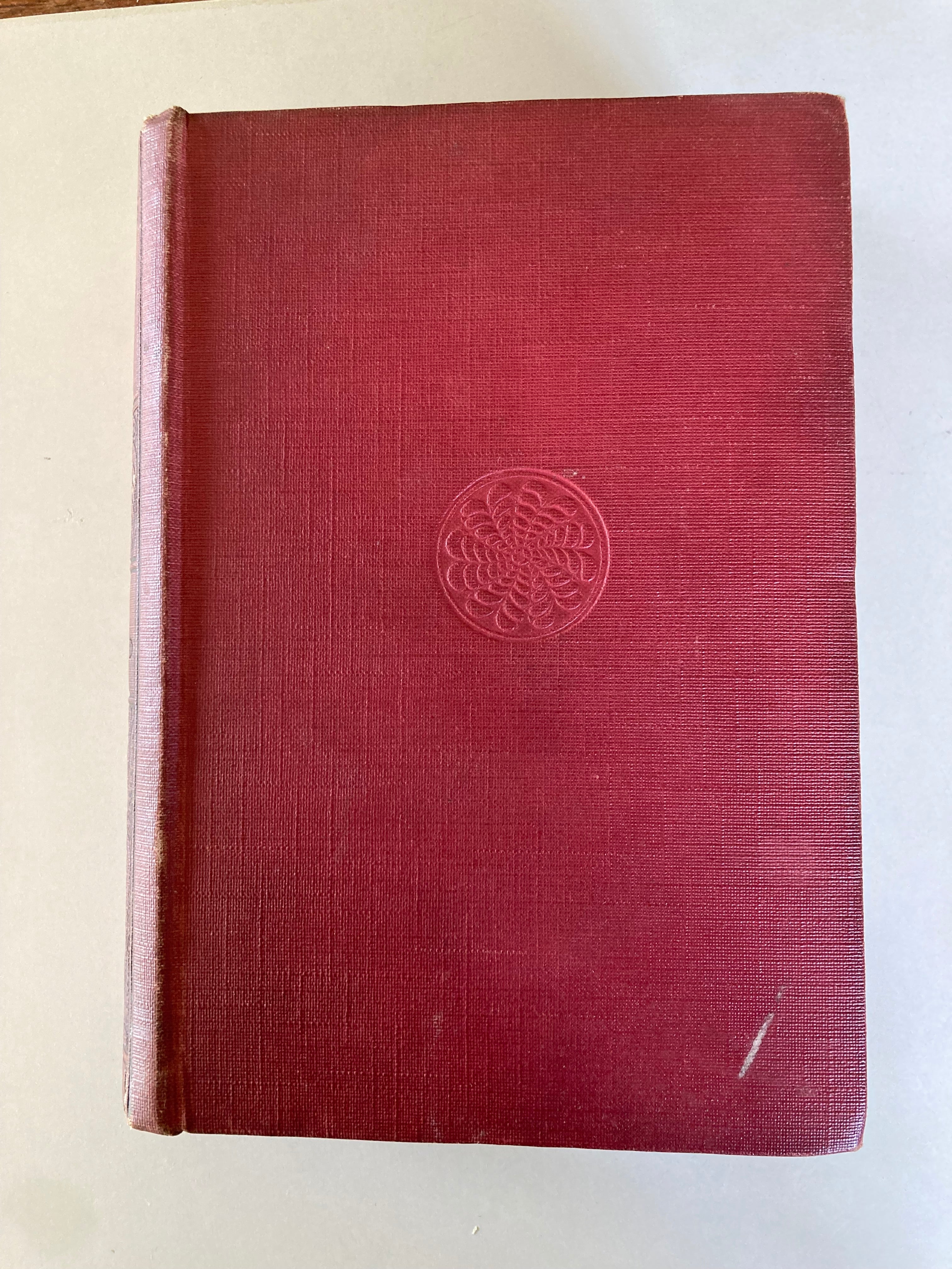 The Possessed by Fyodor Dostoevsky Translated by Constance Garnett 1913 First Edition Cloth Hardback Book