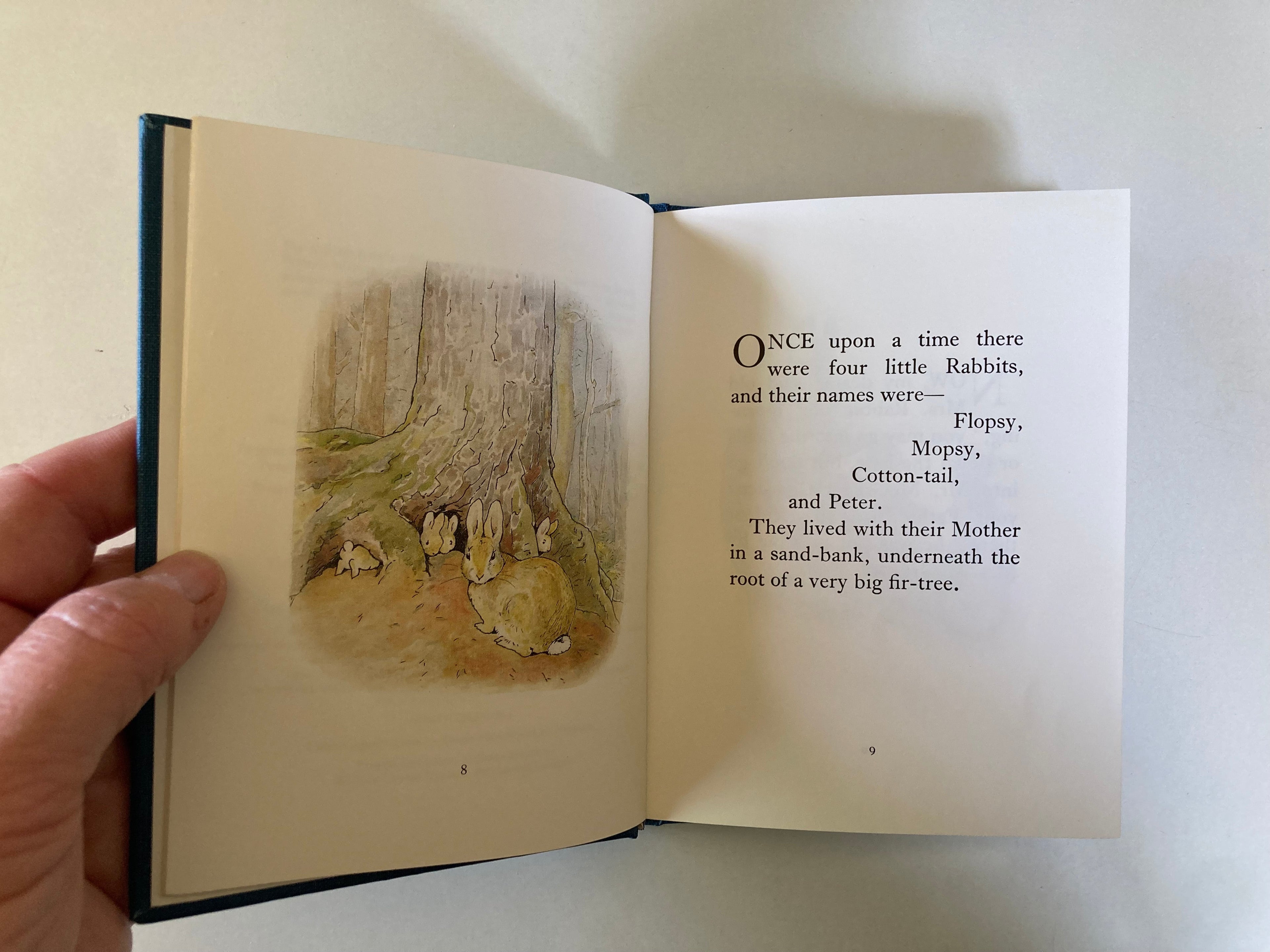 The Tale of Peter Rabbit Deluxe Centenary Edition in Slipcase Beatrix Potter 1993