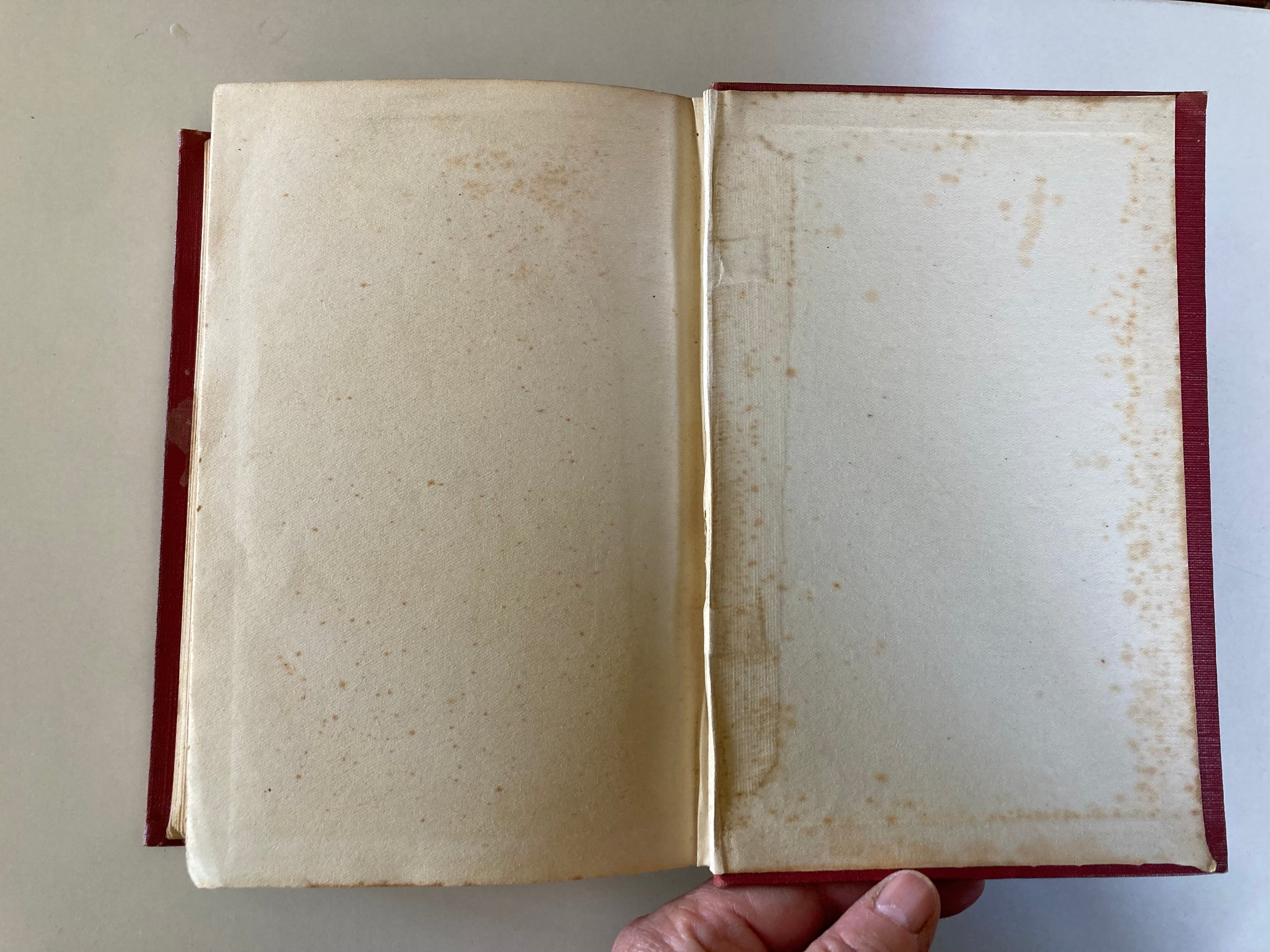 The Possessed by Fyodor Dostoevsky Translated by Constance Garnett 1913 First Edition Cloth Hardback Book