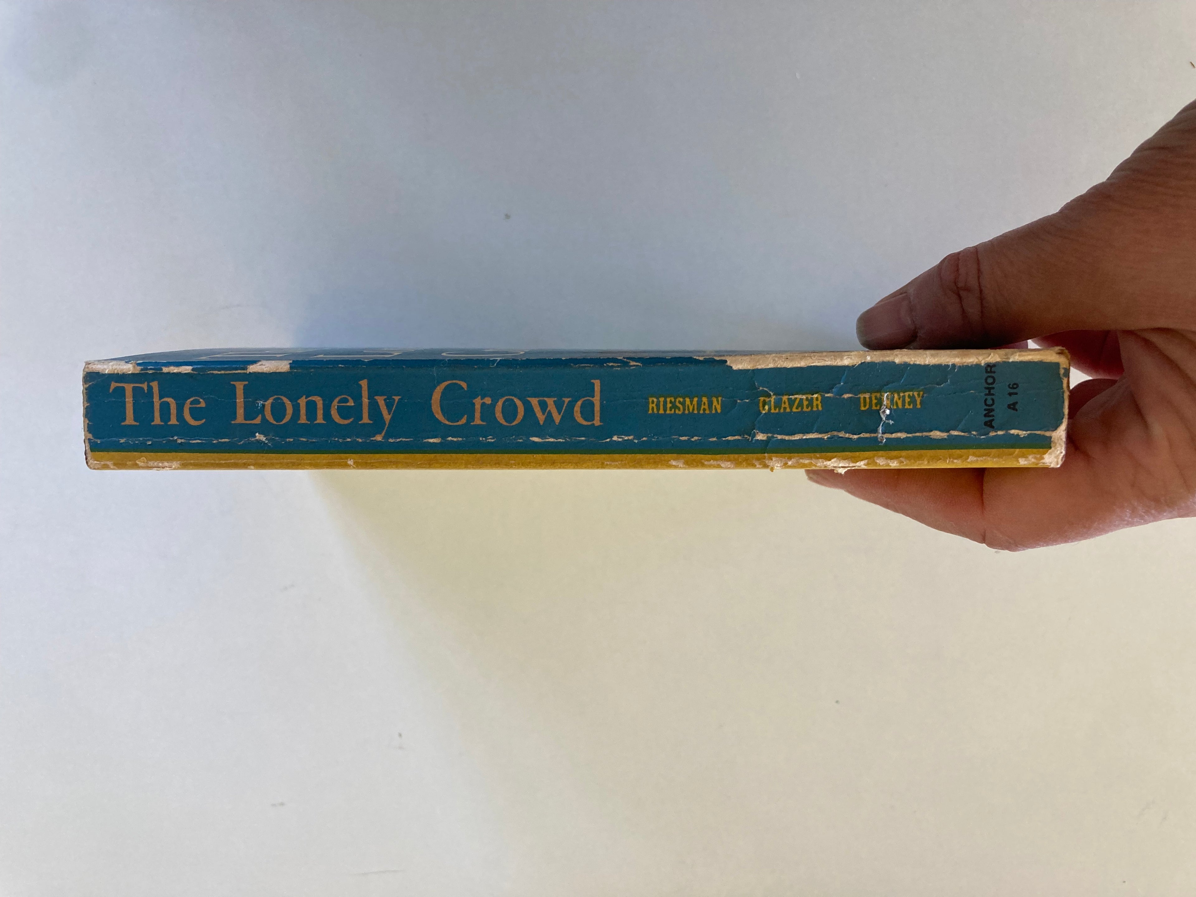 The Lonely Crowd A Study of the Changing American Character Abridged by David Riesman Nathan Glazer and Reuel Denney