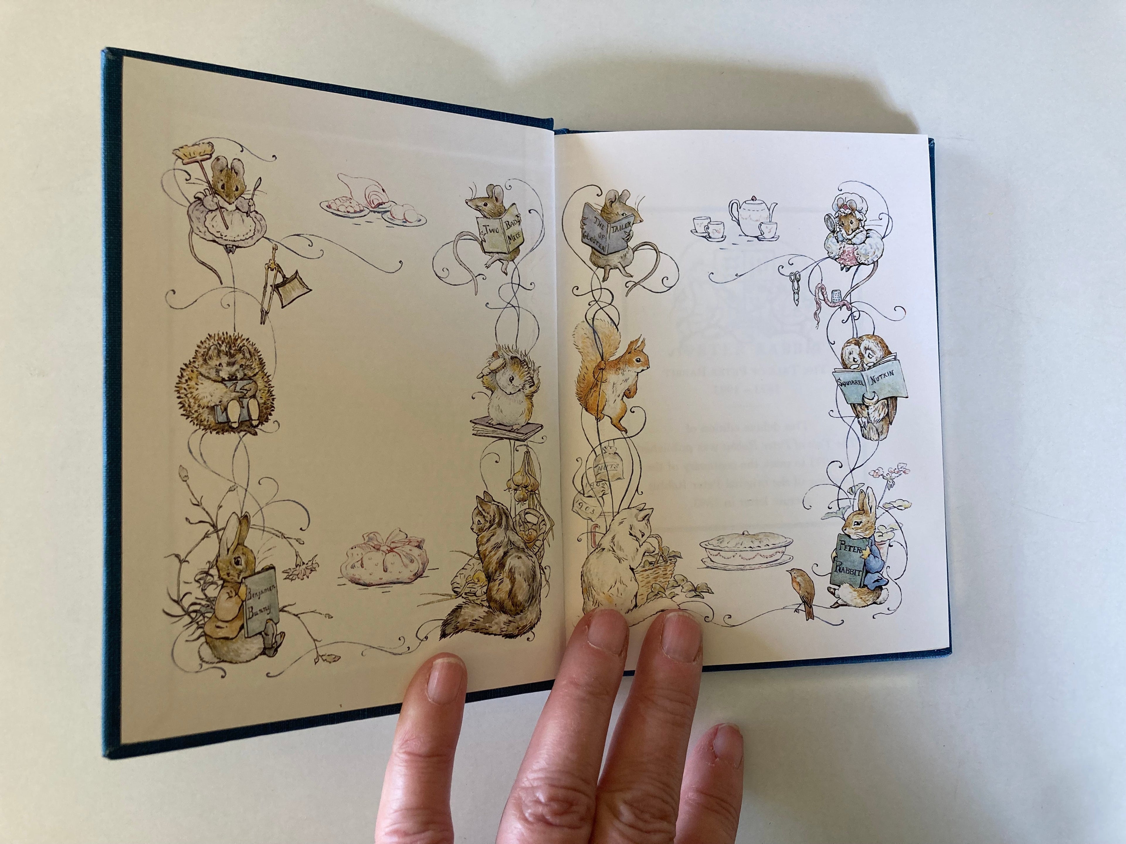 The Tale of Peter Rabbit Deluxe Centenary Edition in Slipcase Beatrix Potter 1993