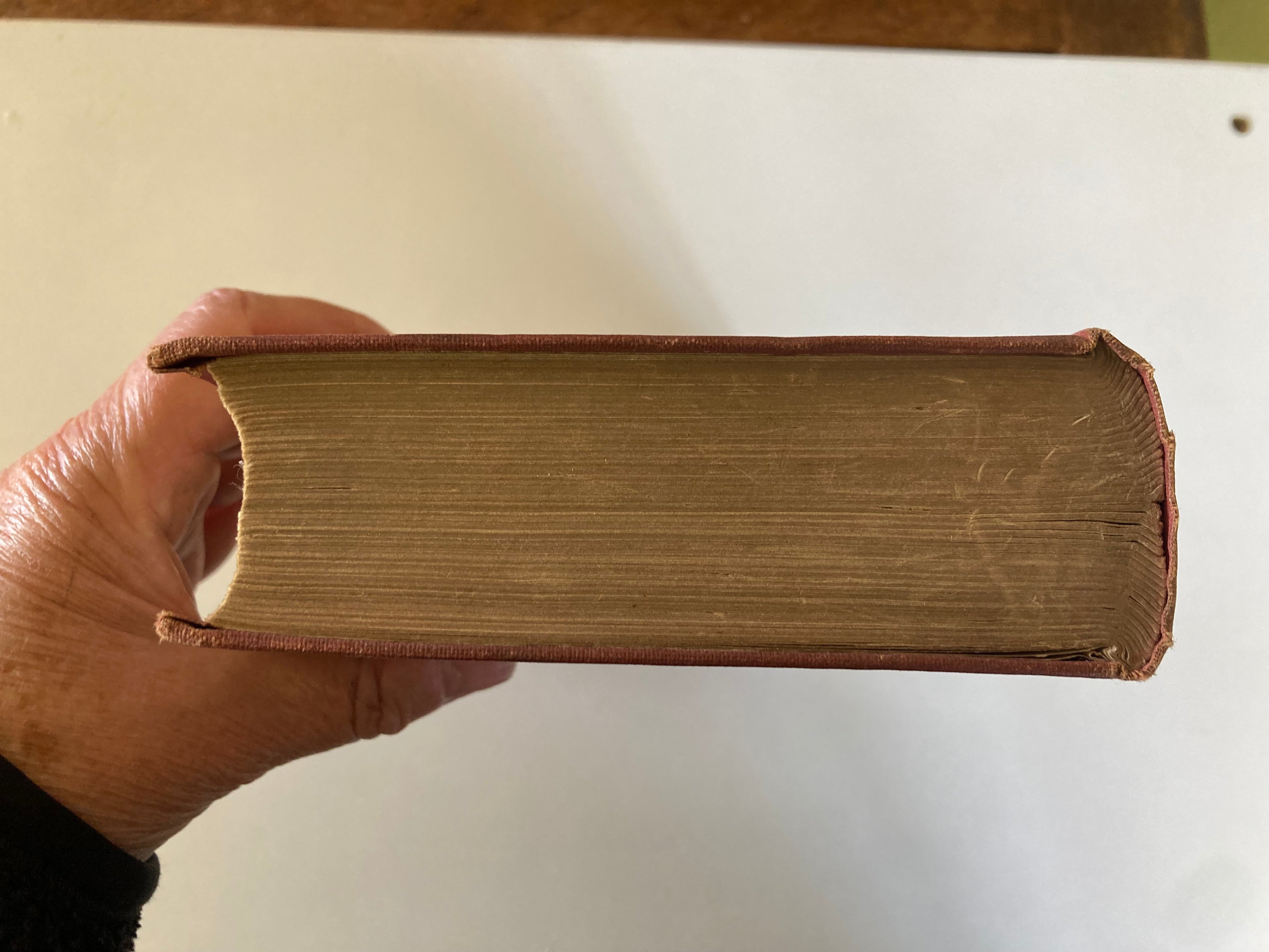 The Possessed by Fyodor Dostoevsky Translated by Constance Garnett 1913 First Edition Cloth Hardback Book