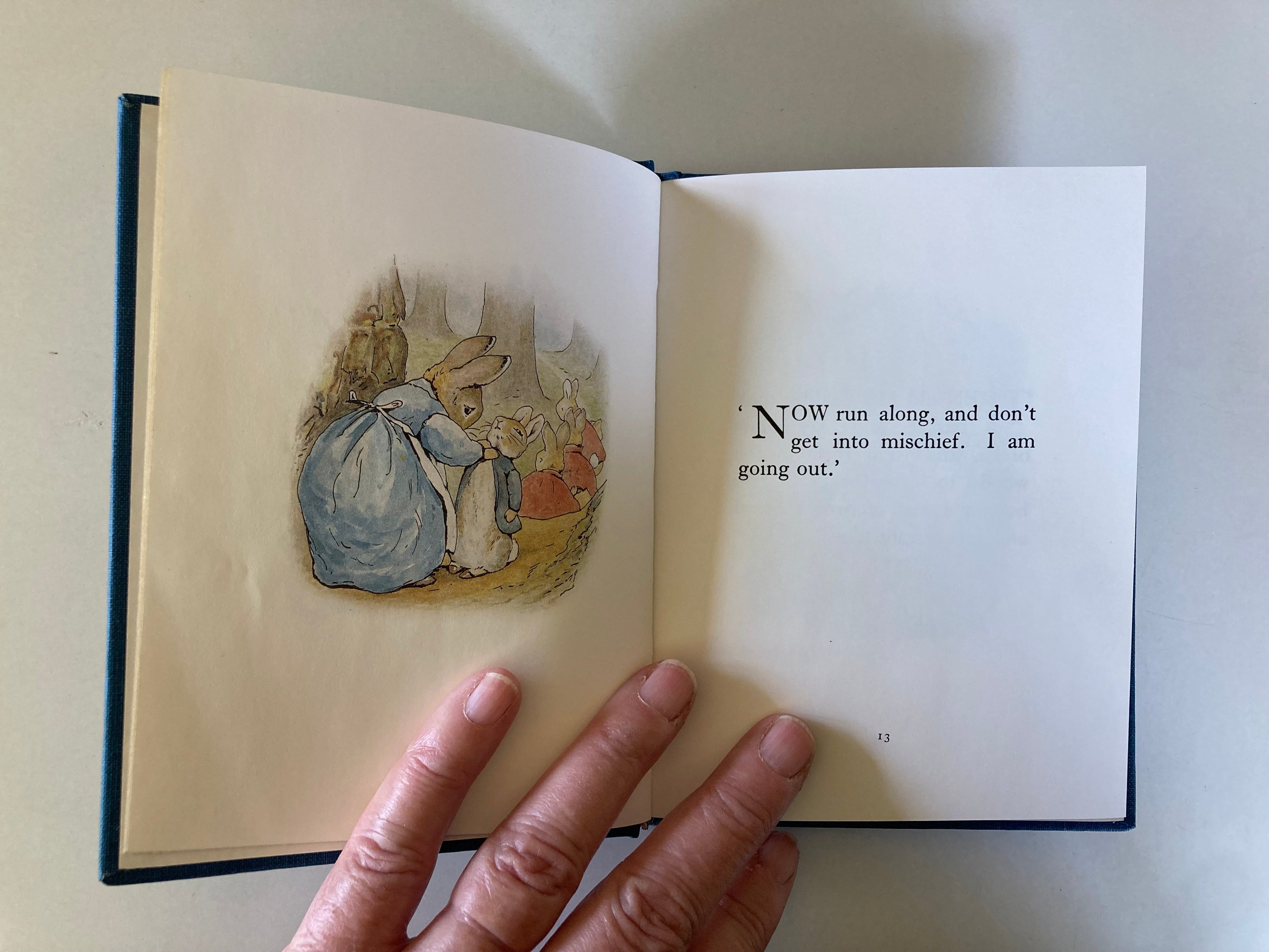 The Tale of Peter Rabbit Deluxe Centenary Edition in Slipcase Beatrix Potter 1993