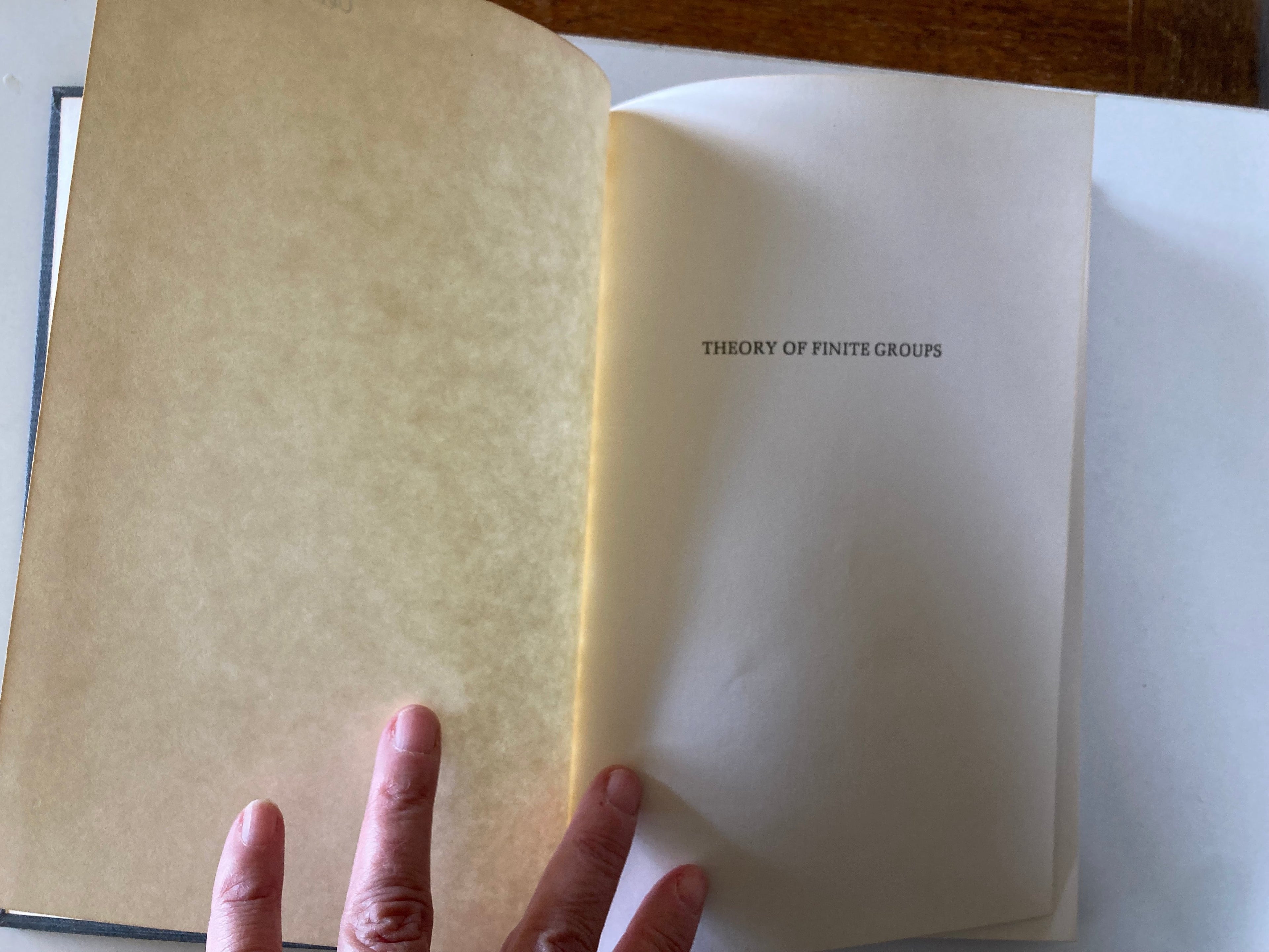 Theory of Finite Groups A Symposium by Richard Brauer and Chih-Han Sah First Edition Hardback Book 1969