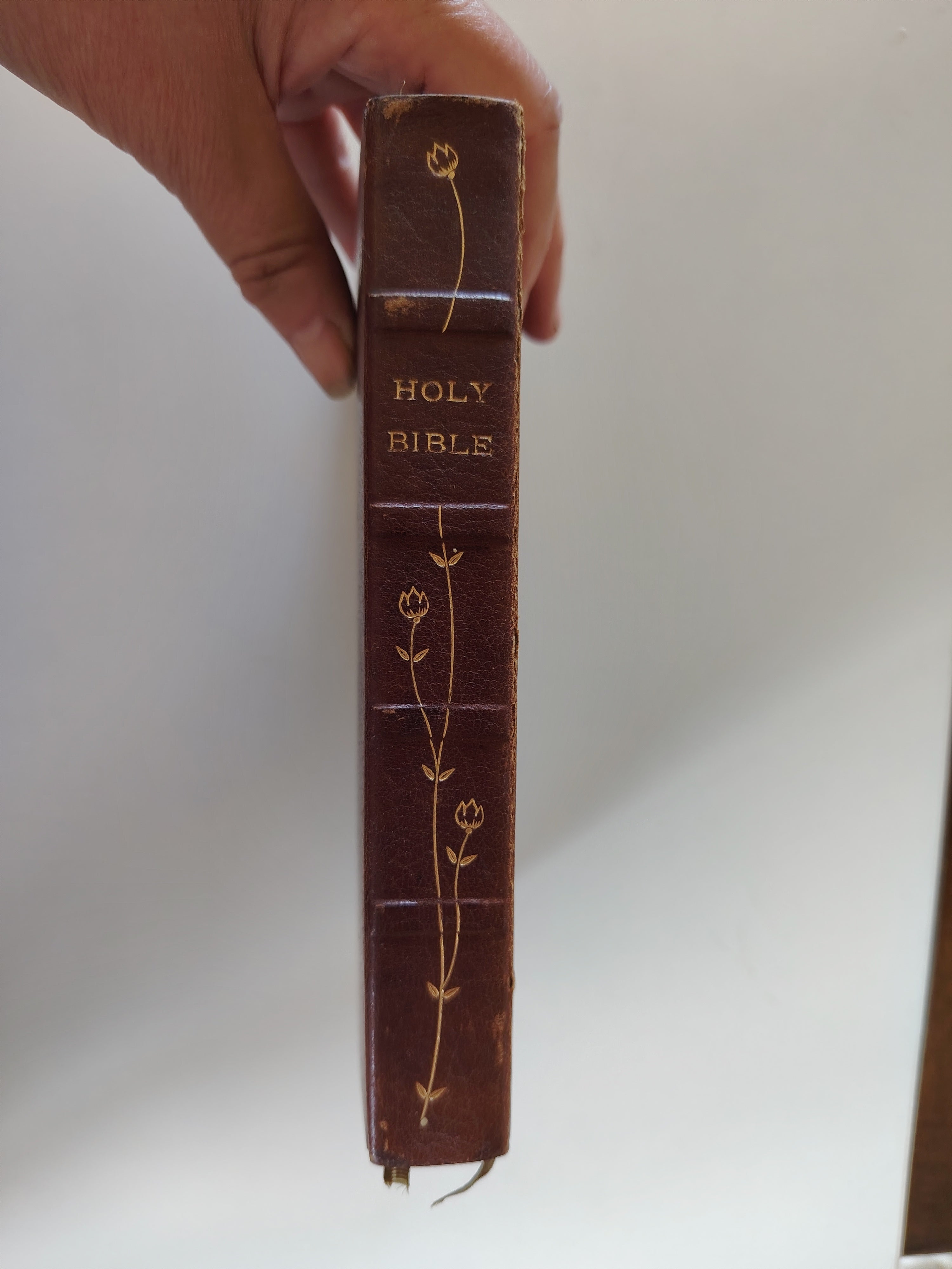 The Holy Bible Appointed to be Read in Churches Oxford Henry Frowde Decorated Leather Undated c1900