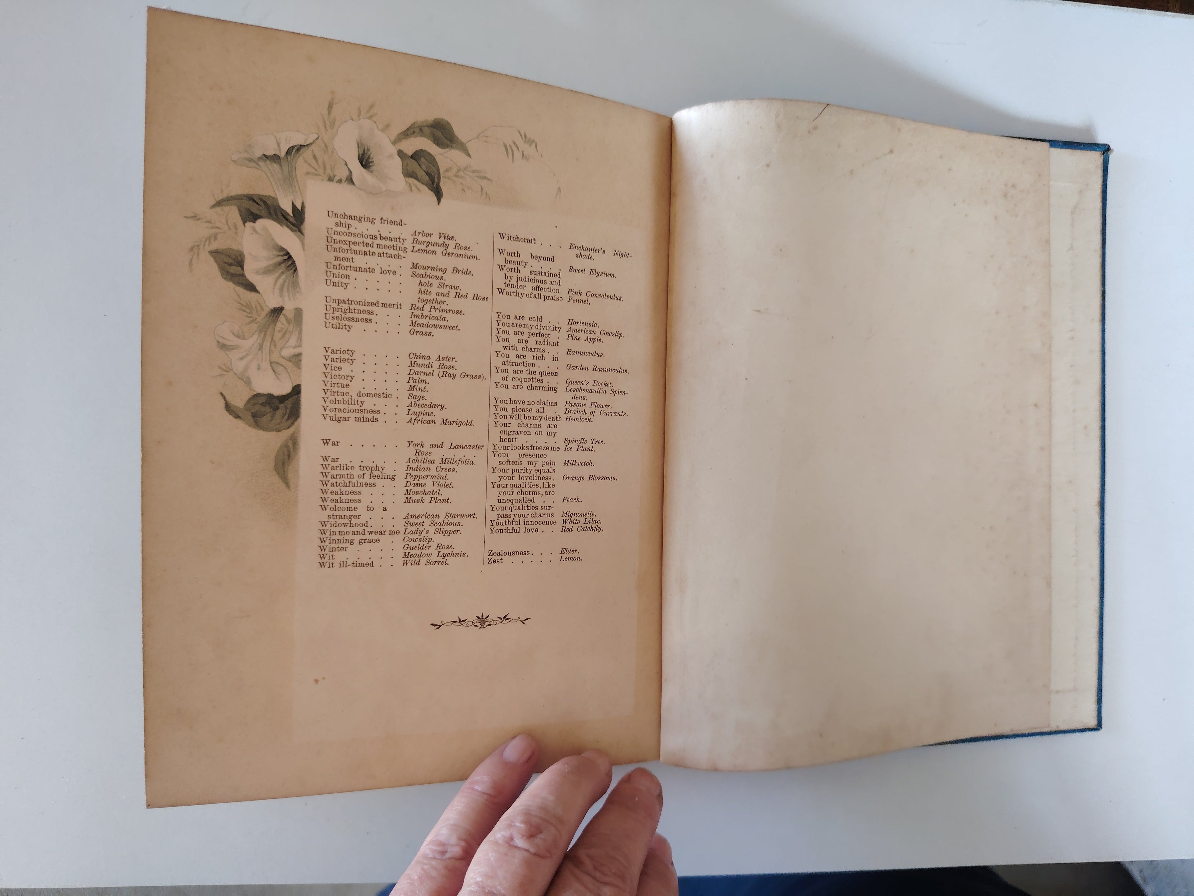 The Artistic Language of Flowers Undated believed to be 1888 Illustrated Book
