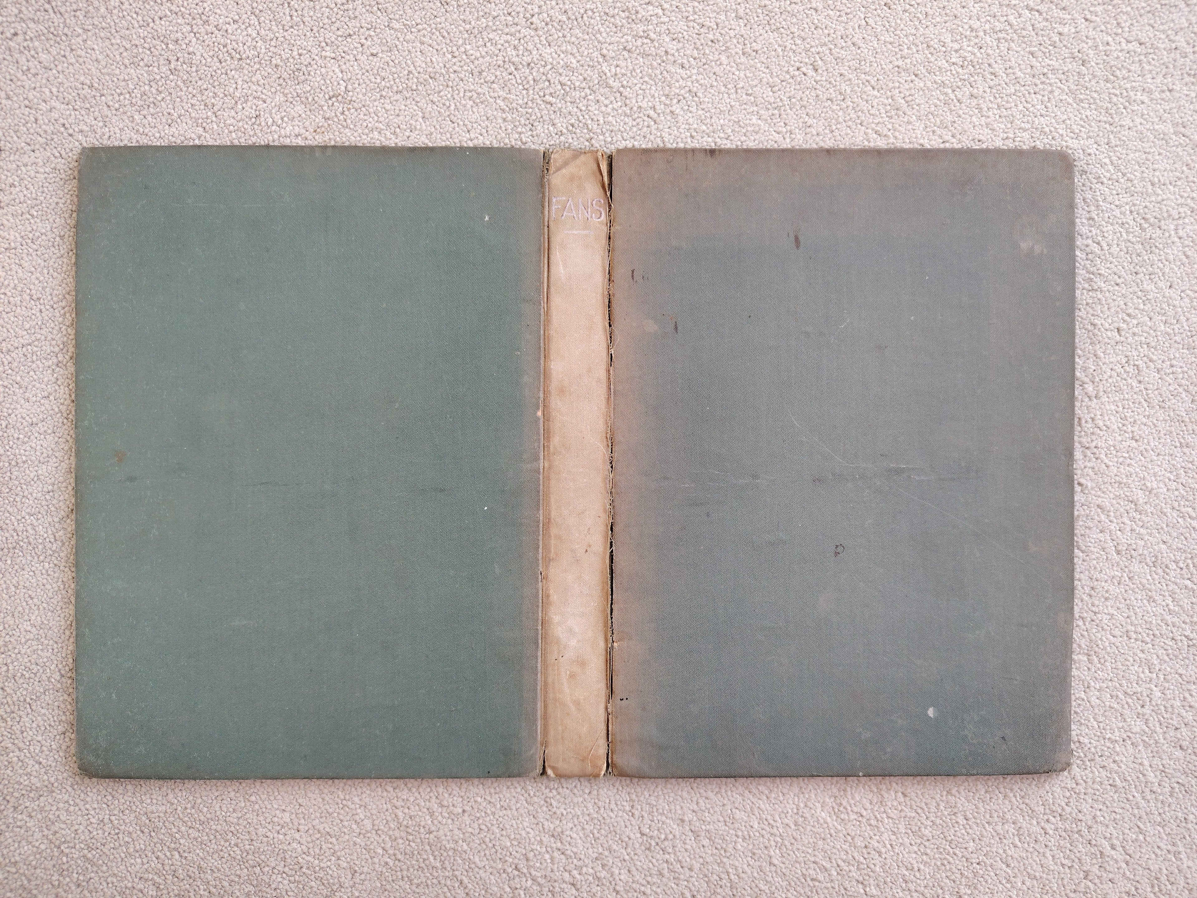 Illustrated Catalogue of Mr Robert Walker's Cabinet of Old Fans Sold by Sotheby Wilkinson & Hodge 1882