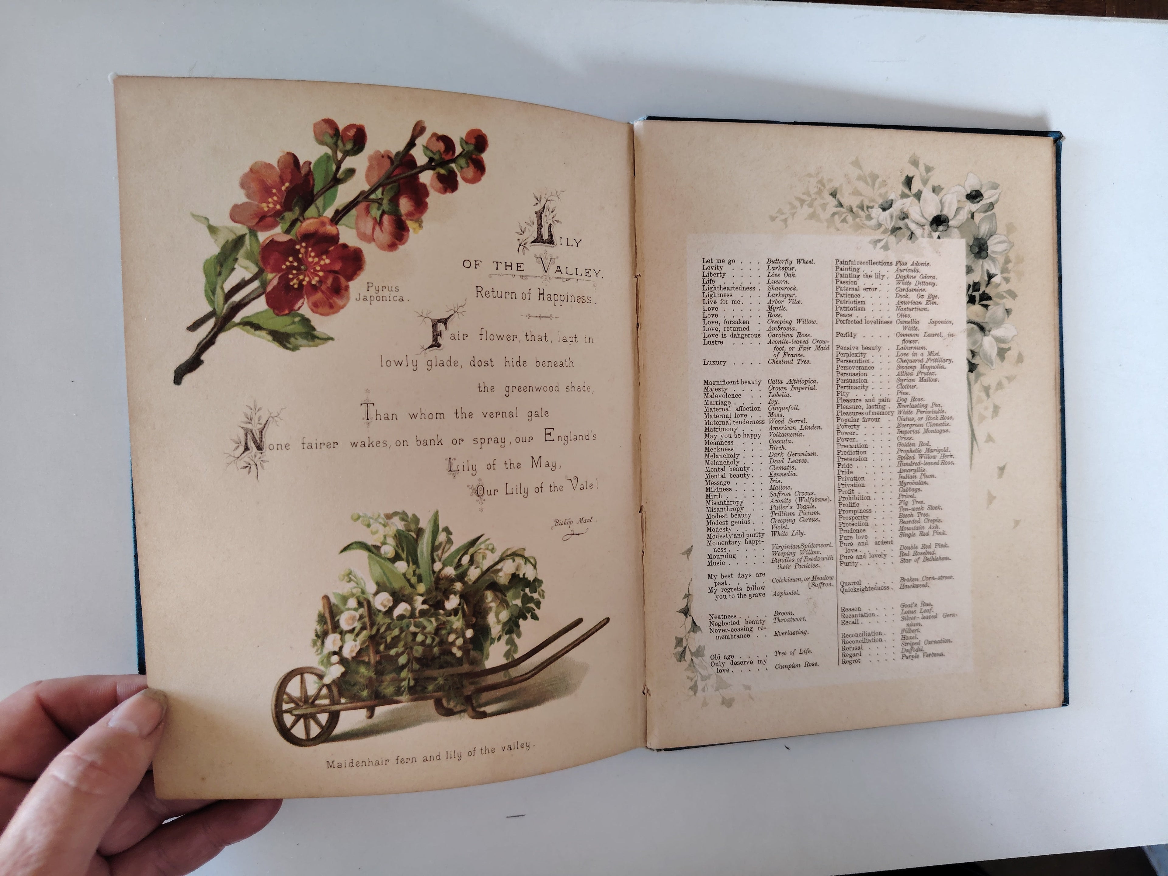 The Artistic Language of Flowers Undated believed to be 1888 Illustrated Book