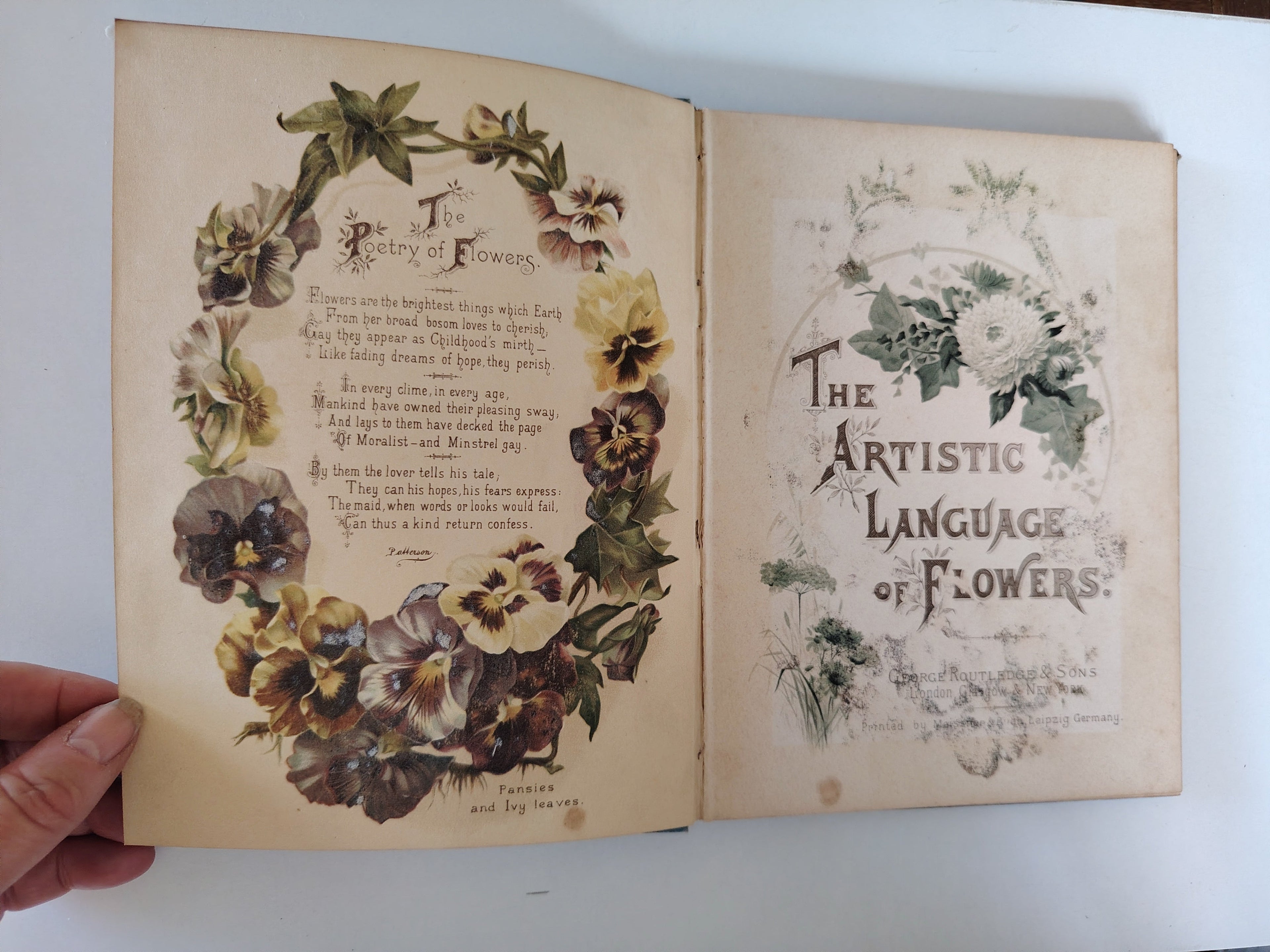 The Artistic Language of Flowers Undated believed to be 1888 Illustrated Book