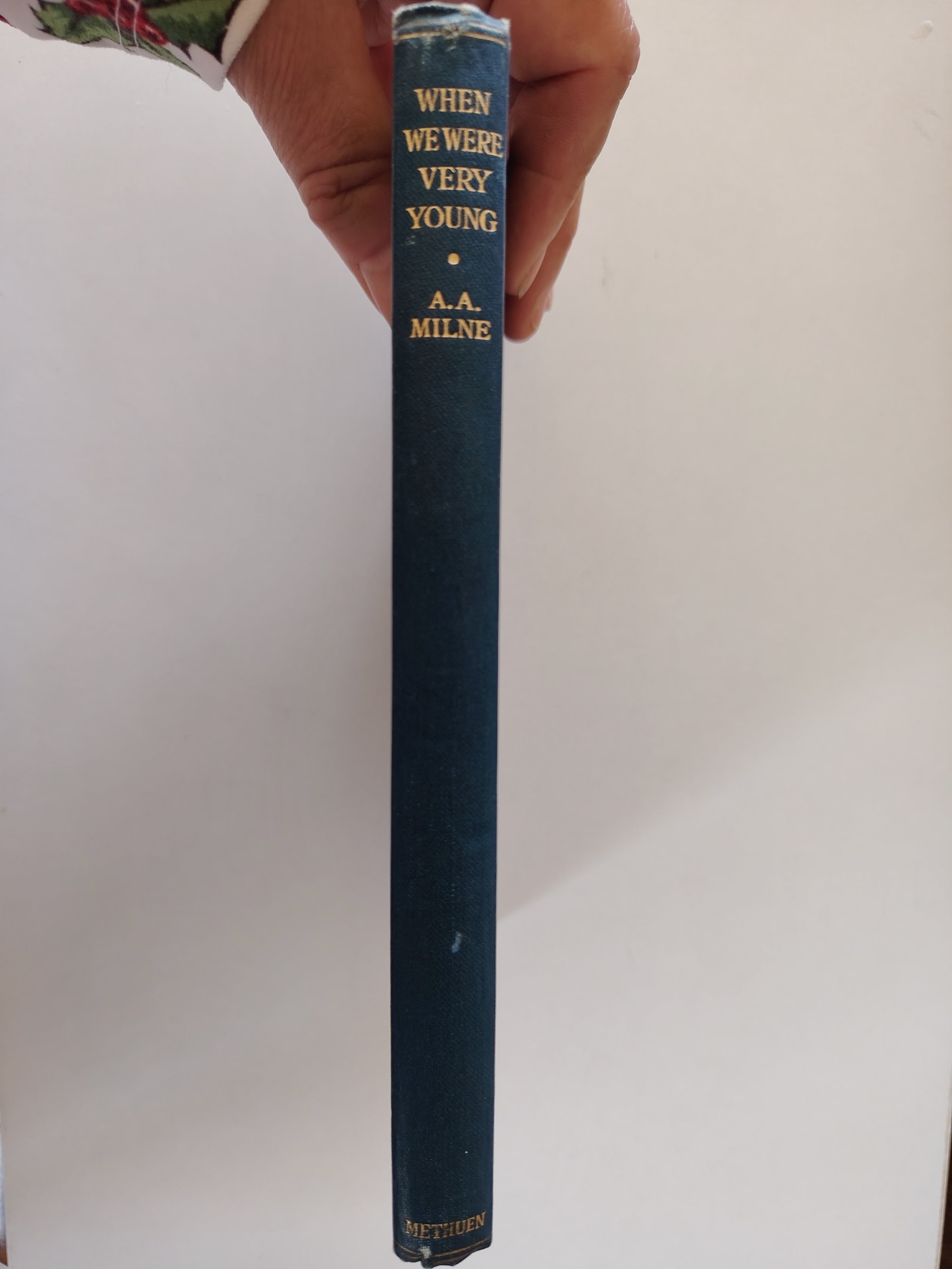When We Were Very Young by A A Milne with Decorations by Ernest H Shepard Fourteenth Edition 1926