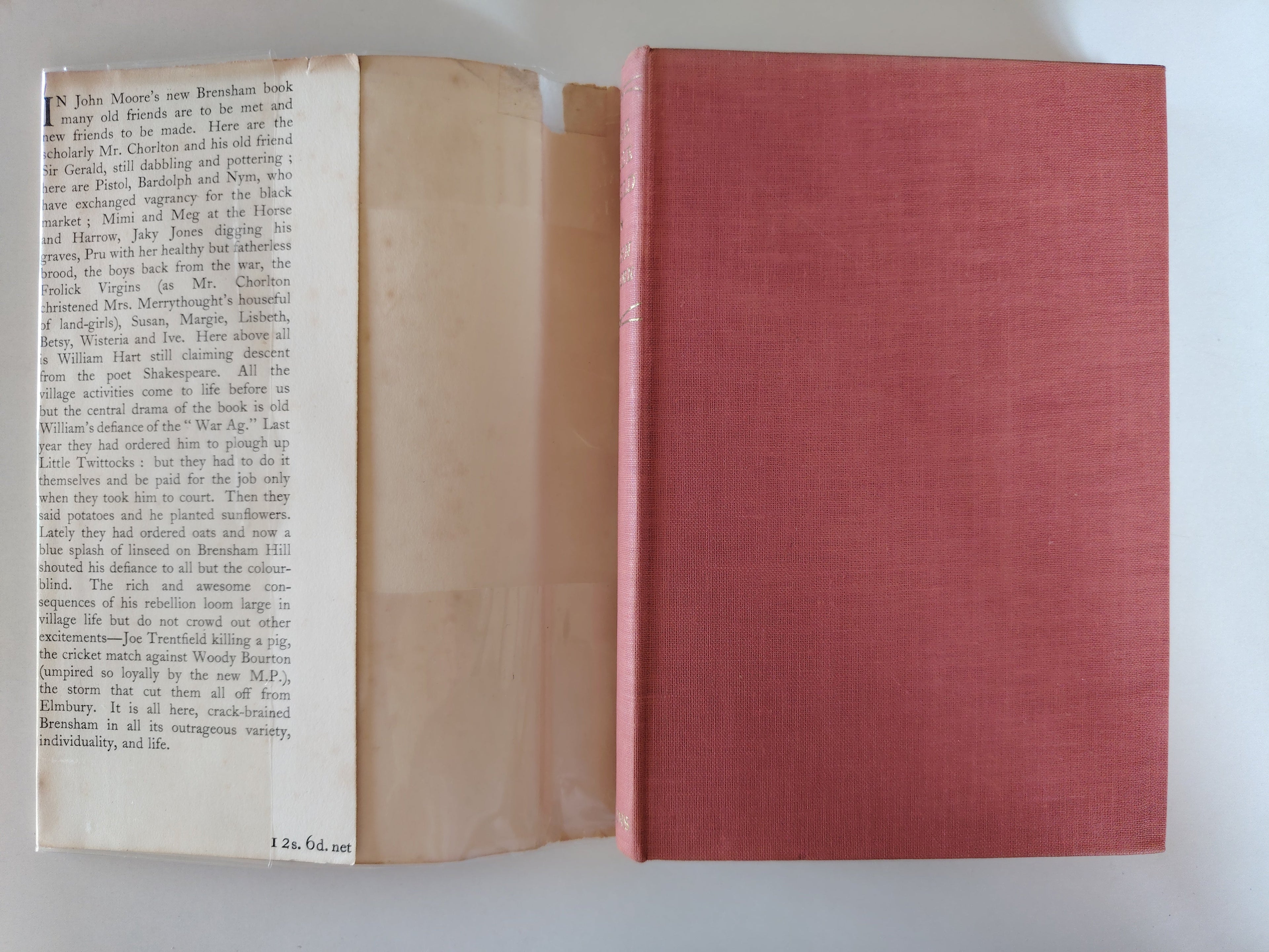 The Blue Field by John Moore First Edition Second Impression August 1949 with Dustjacket