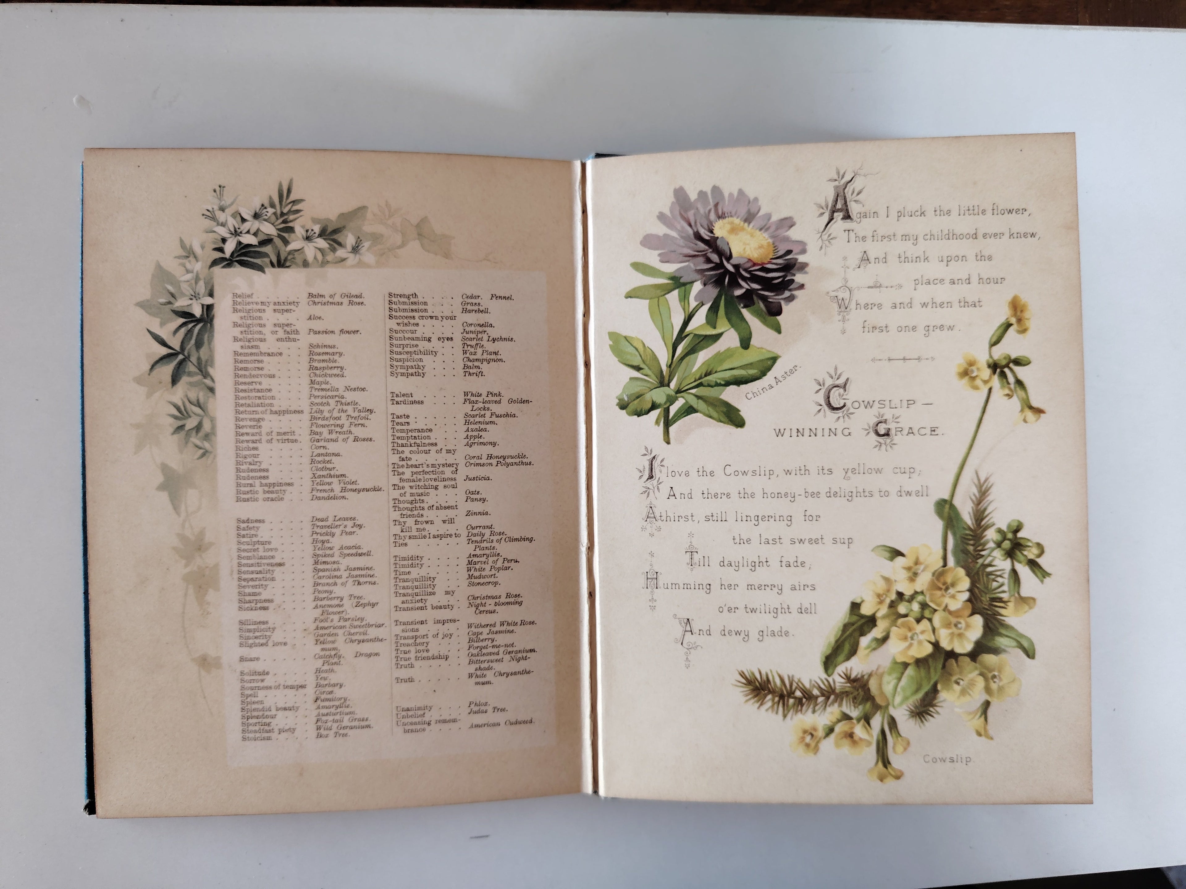 The Artistic Language of Flowers Undated believed to be 1888 Illustrated Book