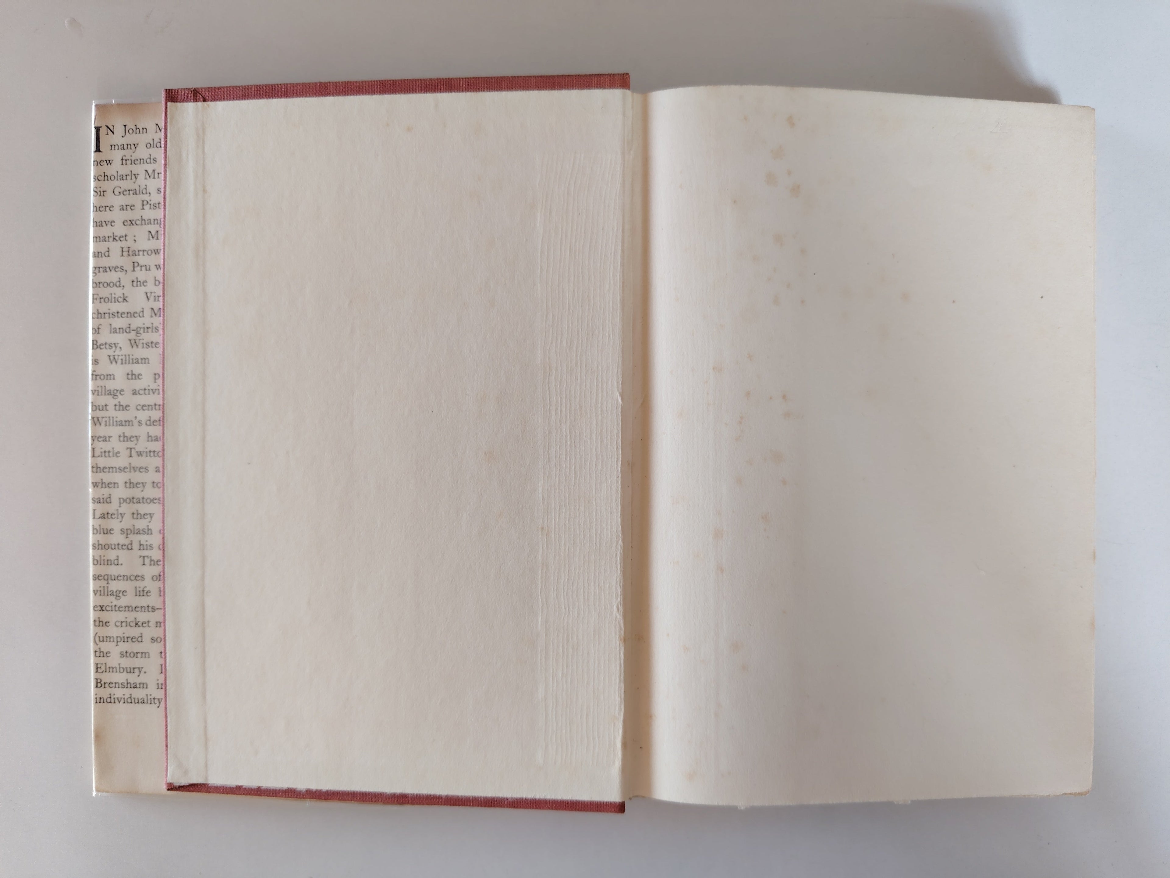 The Blue Field by John Moore First Edition Second Impression August 1949 with Dustjacket