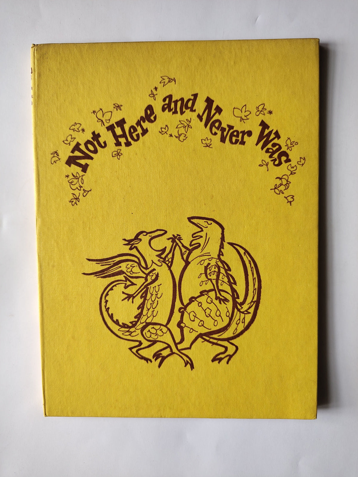 Not Here and Never Was by Virginia Smith First Edition 1968 Illustrated Childrens Book