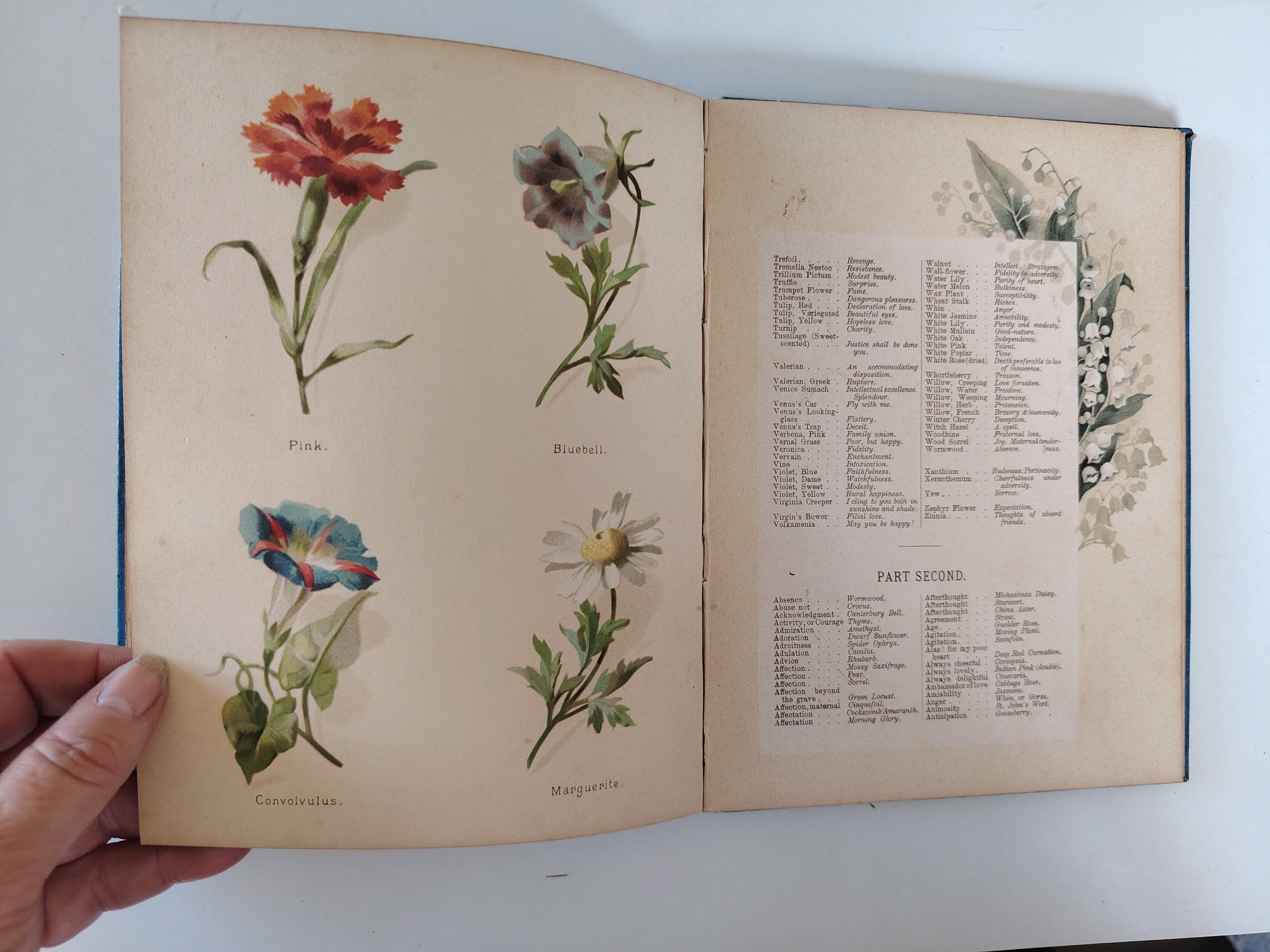 The Artistic Language of Flowers Undated believed to be 1888 Illustrated Book