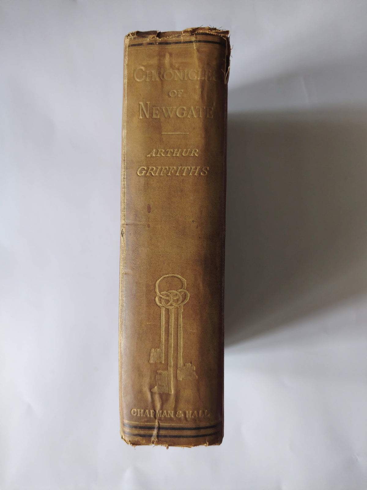 The Chronicles of Newgate by Arthur Griffiths Published by Chapman and Hall in a New Edition in 1884