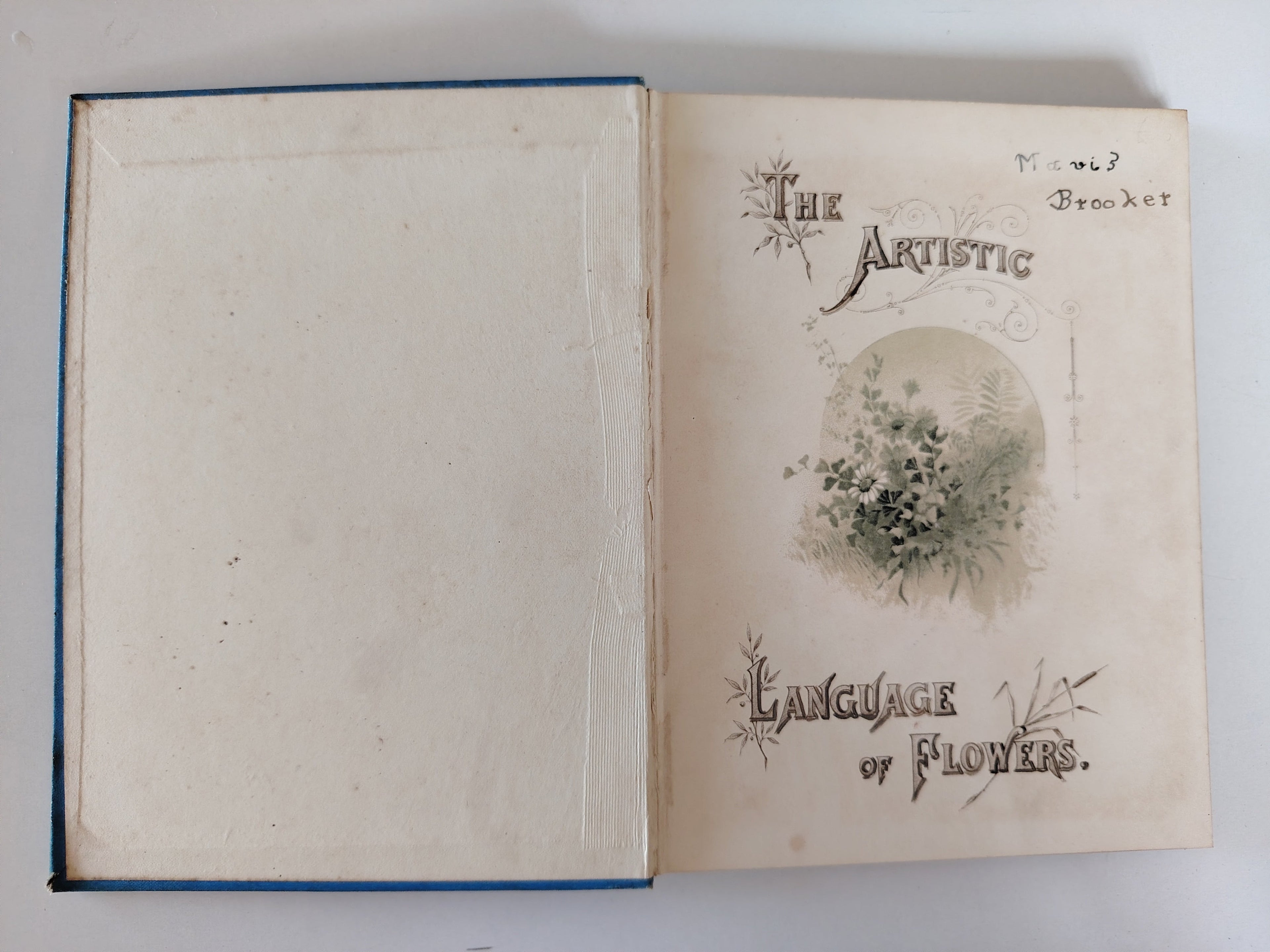 The Artistic Language of Flowers Undated believed to be 1888 Illustrated Book