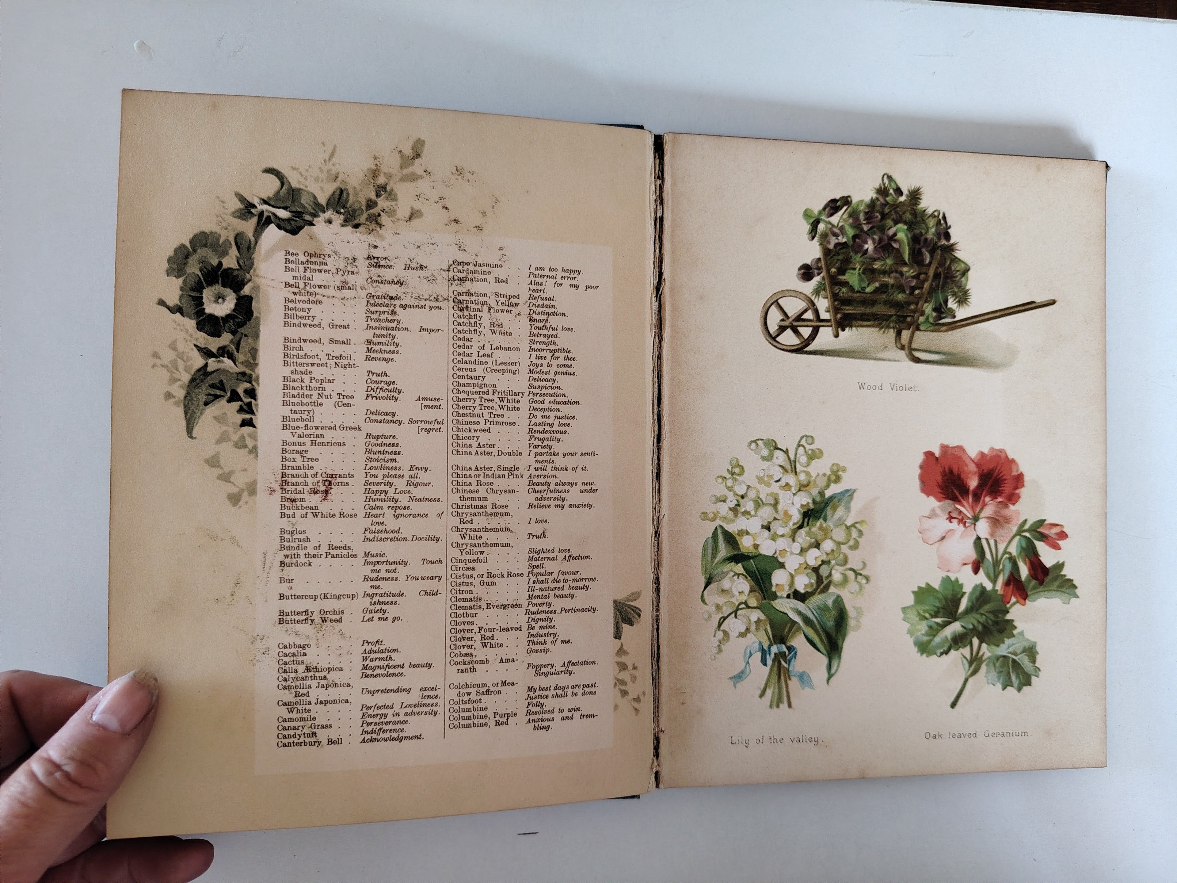 The Artistic Language of Flowers Undated believed to be 1888 Illustrated Book