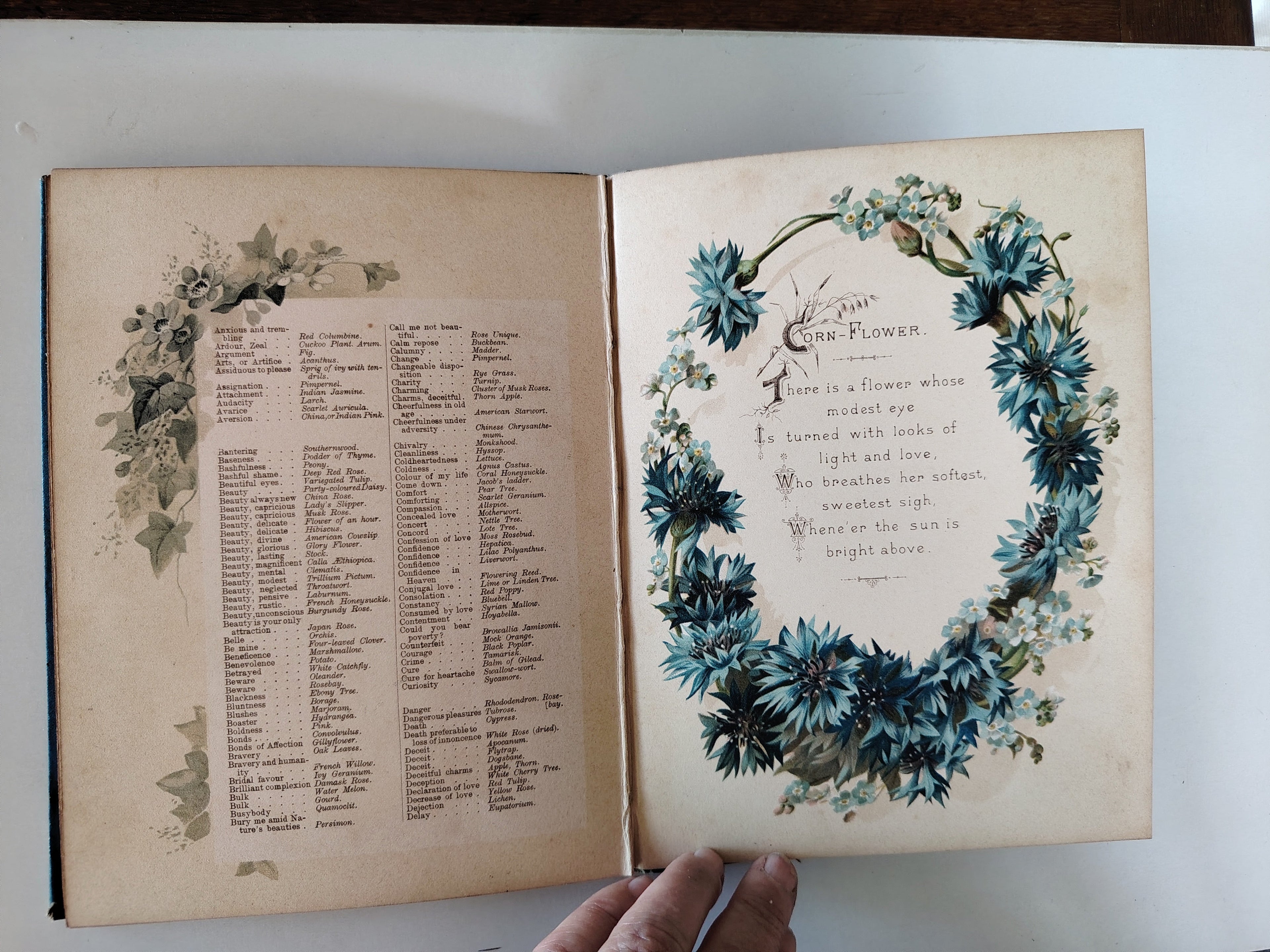 The Artistic Language of Flowers Undated believed to be 1888 Illustrated Book
