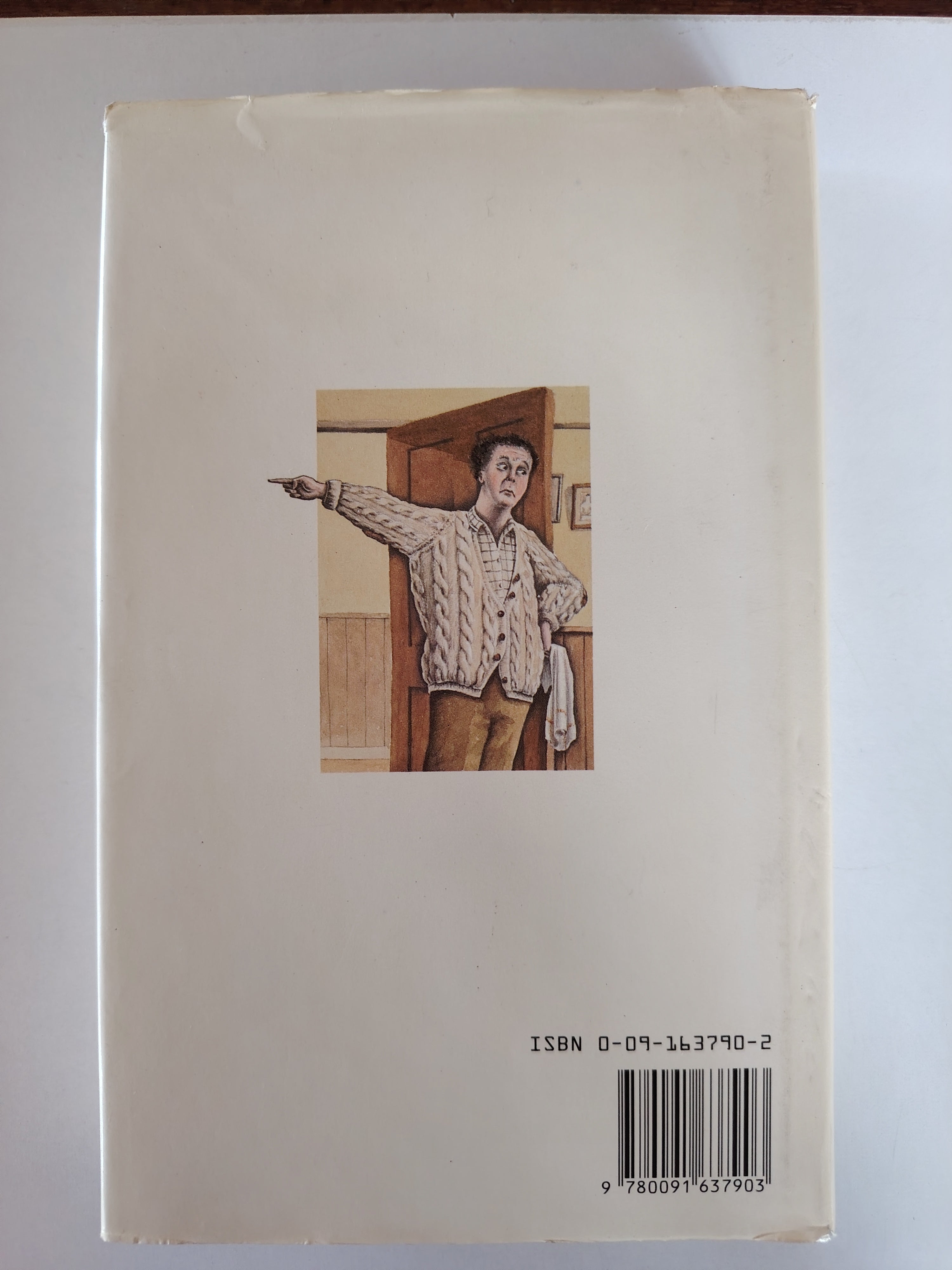 The Old Devils Kingsley Amis First Edition, First Impression 1986 Published by Hutchinson