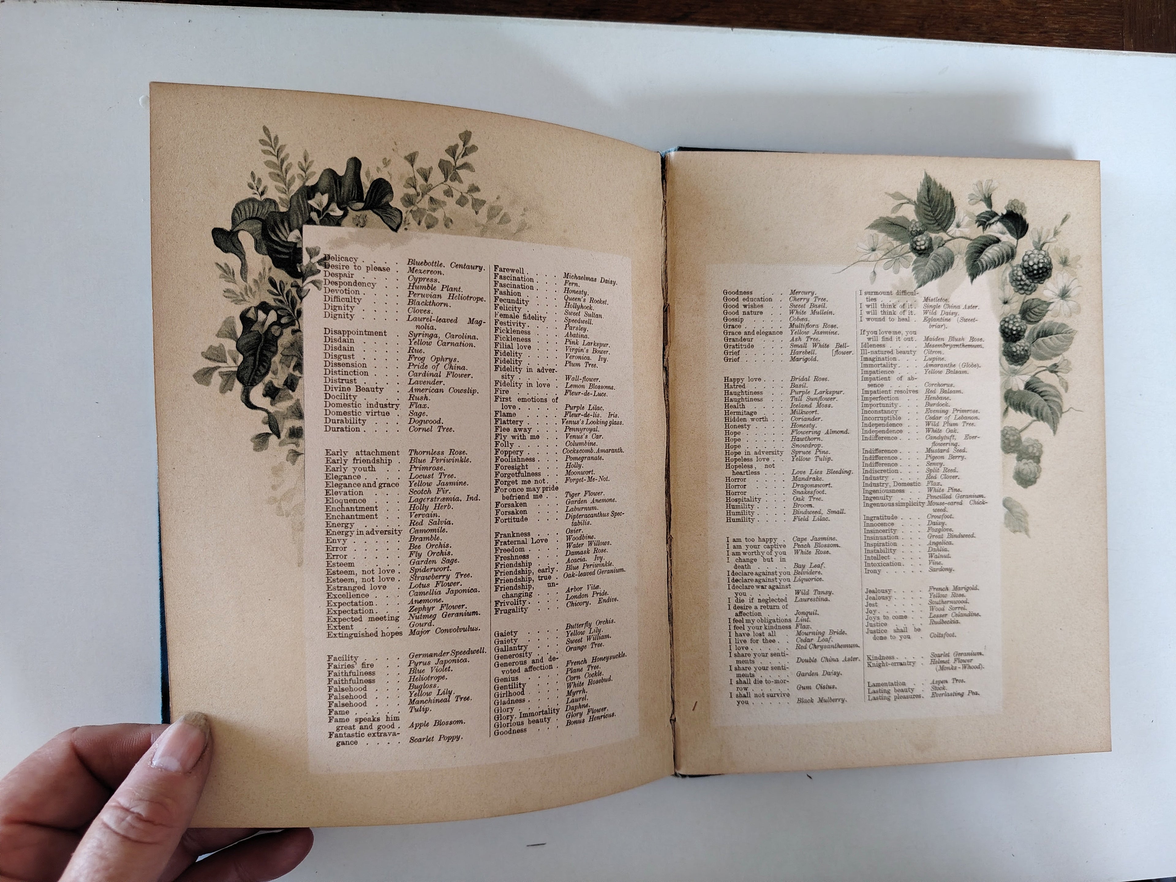 The Artistic Language of Flowers Undated believed to be 1888 Illustrated Book