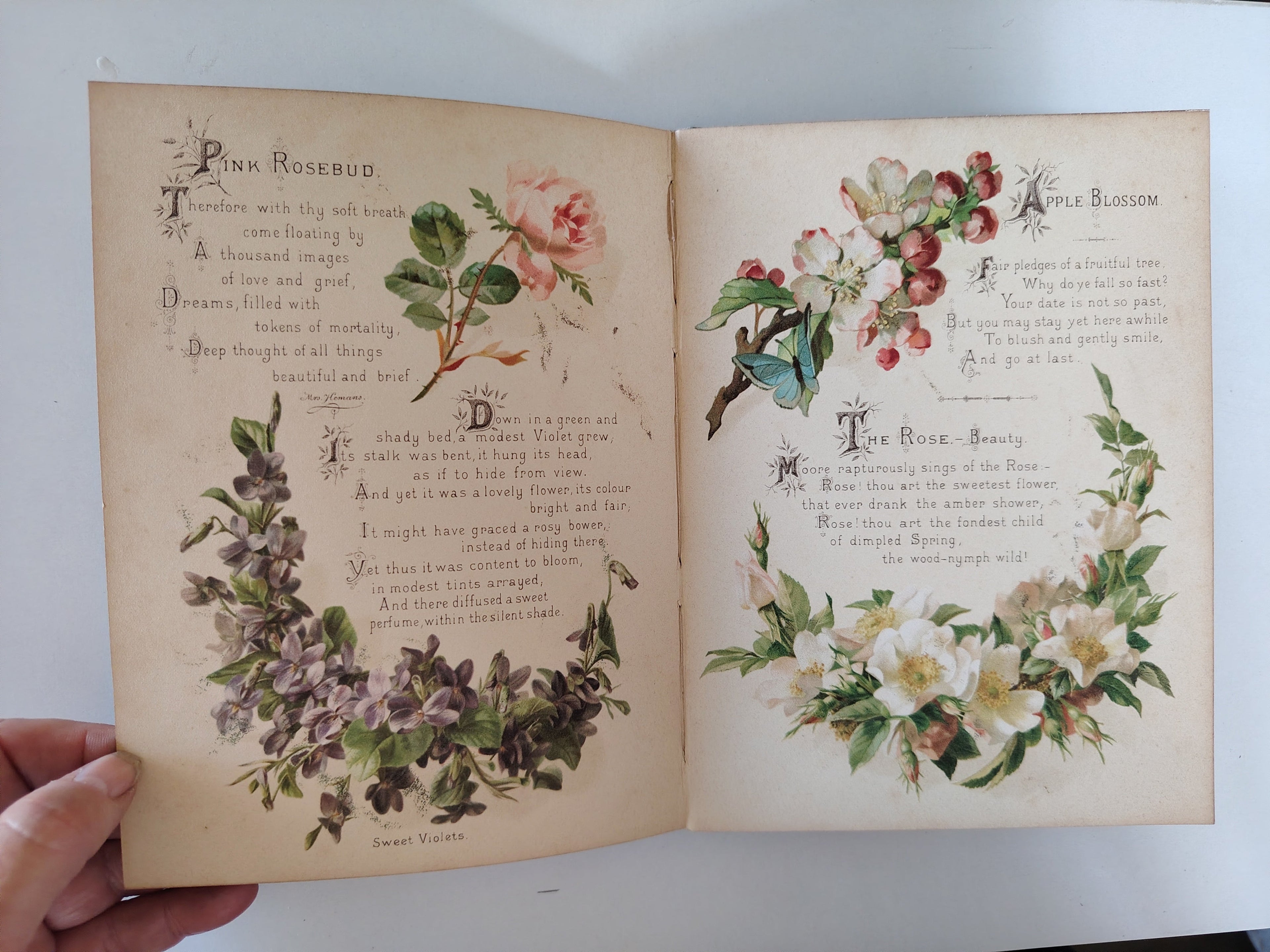 The Artistic Language of Flowers Undated believed to be 1888 Illustrated Book