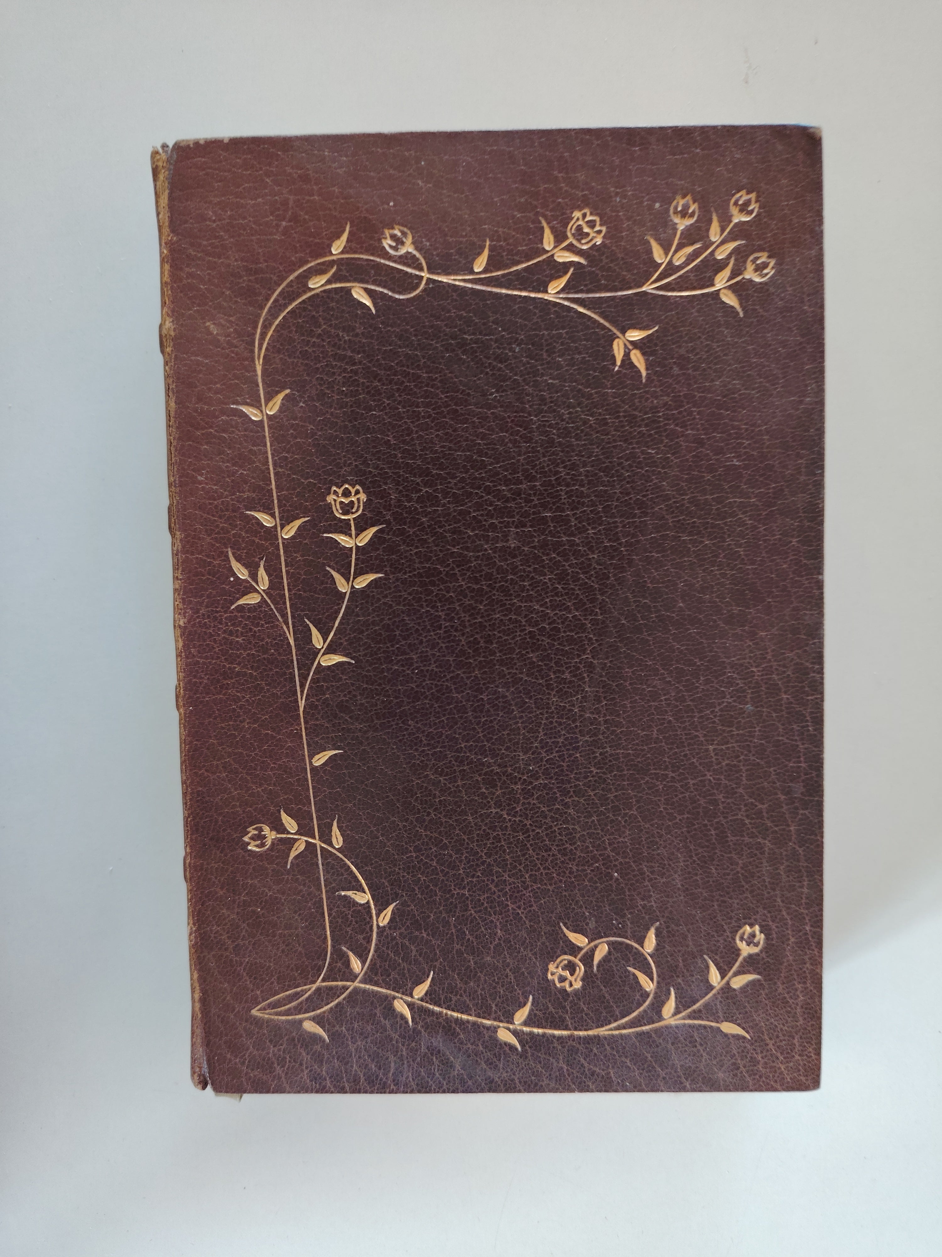 The Holy Bible Appointed to be Read in Churches Oxford Henry Frowde Decorated Leather Undated c1900