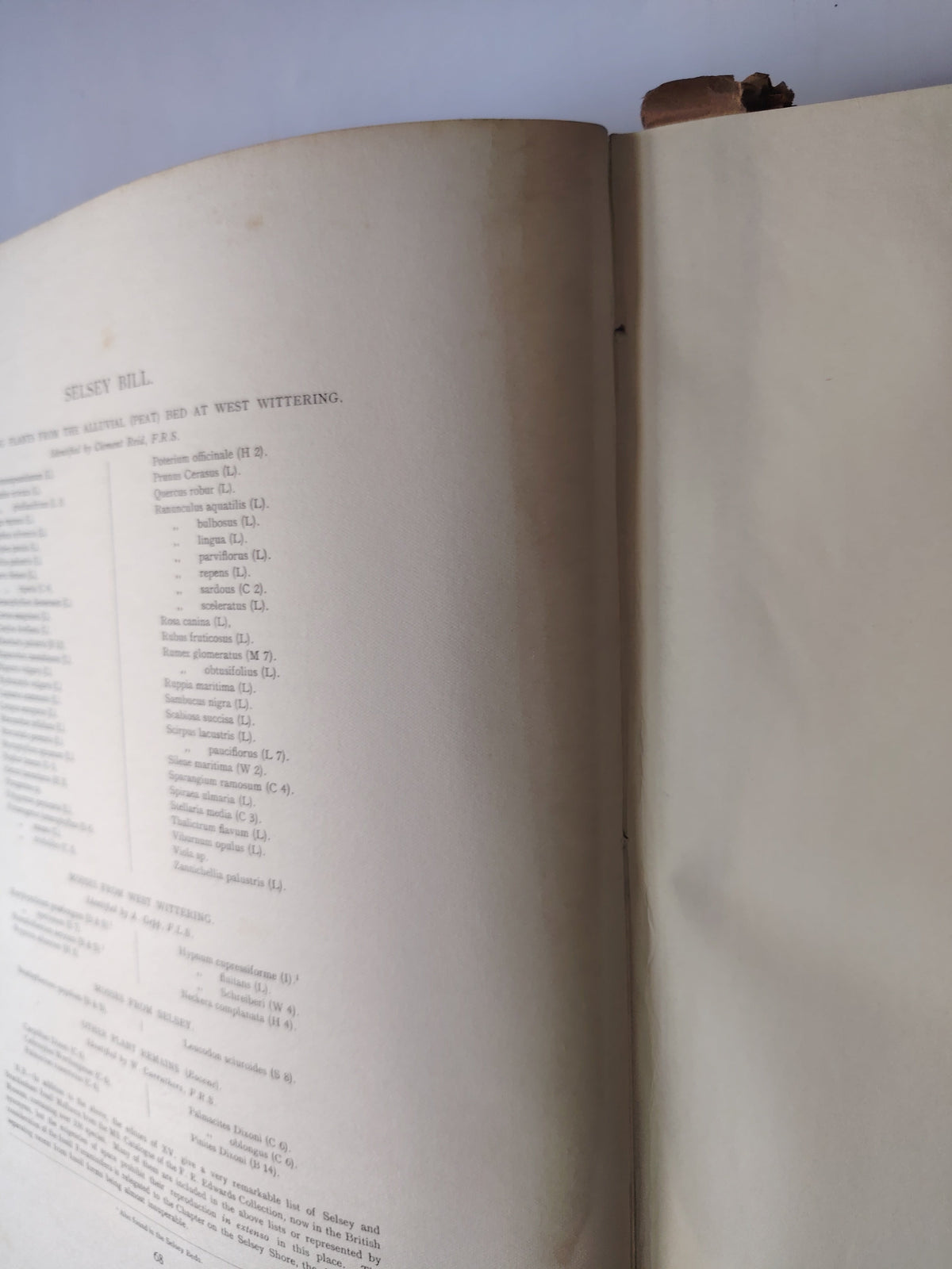Selsey Bill: Historic & Prehistoric by E Heron-Allen Published in 1911 Large Heavy Book