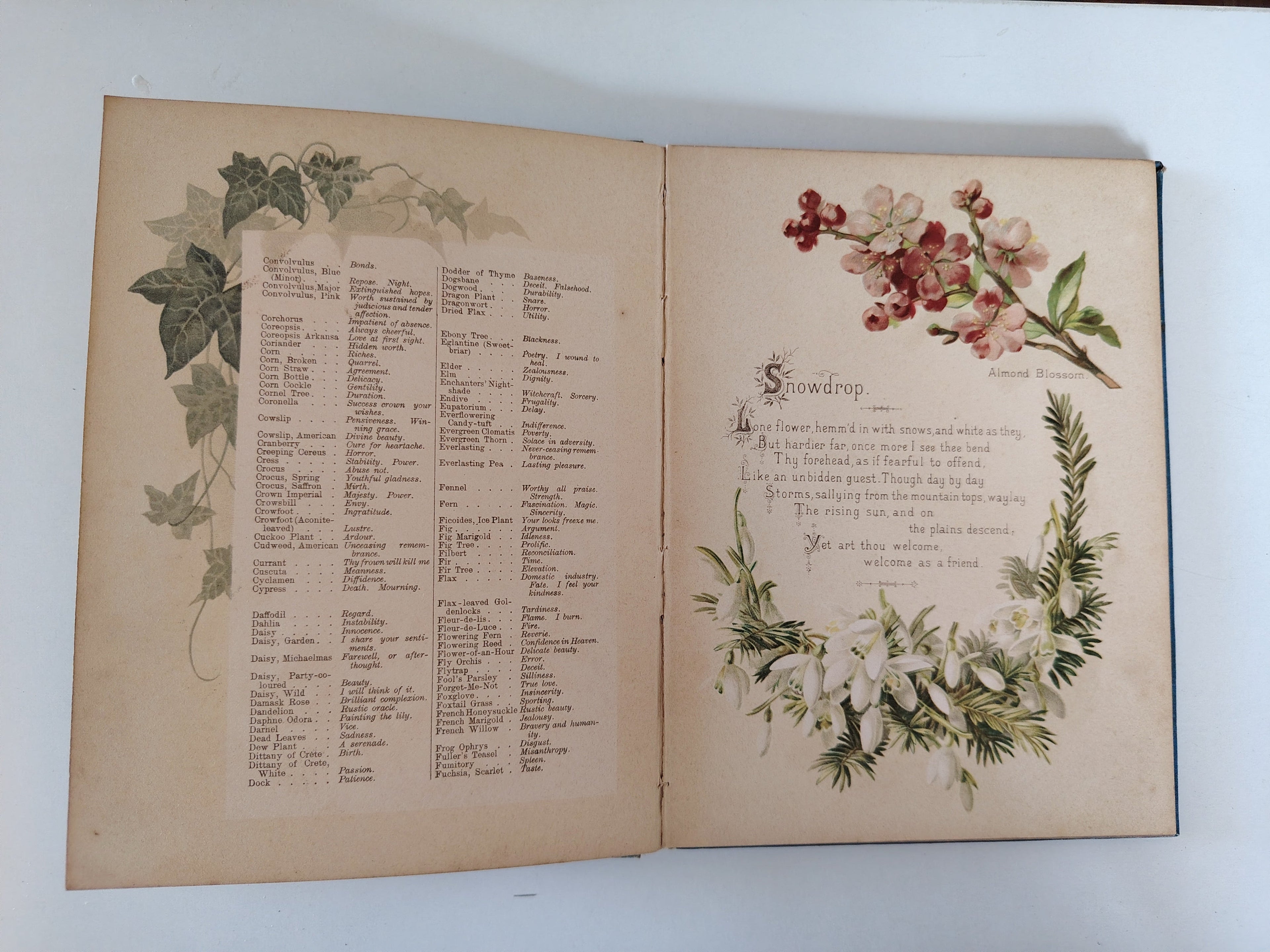 The Artistic Language of Flowers Undated believed to be 1888 Illustrated Book