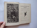 The Naturalist on the River Amazons by Henry Walter Bates 1910 Popular Edition Illistrated