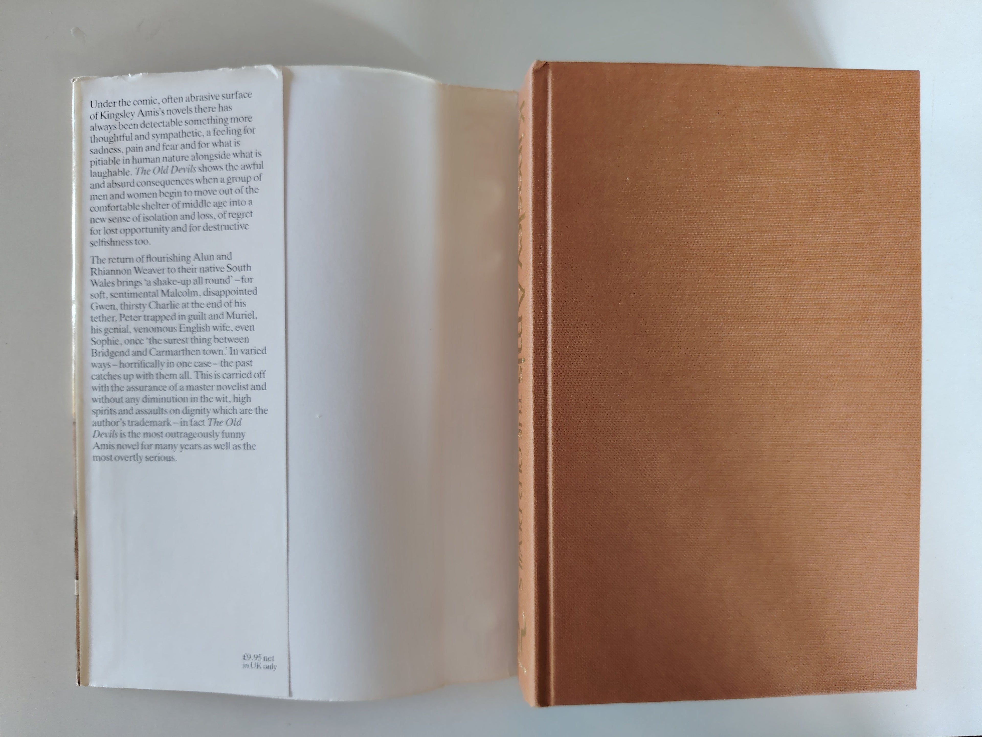 The Old Devils Kingsley Amis First Edition, First Impression 1986 Published by Hutchinson