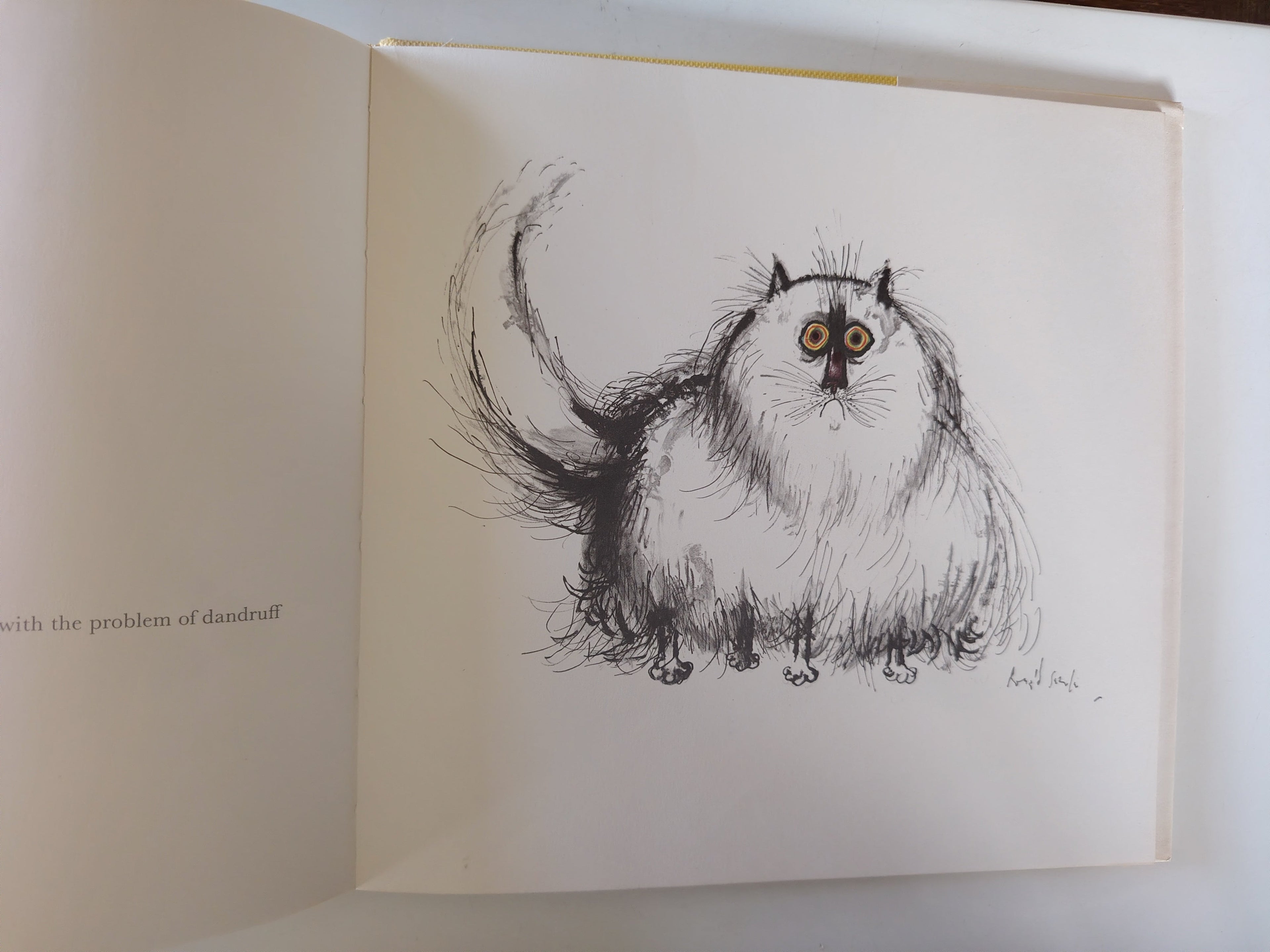 Searle's Cats Illustrated Hardback Book by Ronald Searle First Edition 1967