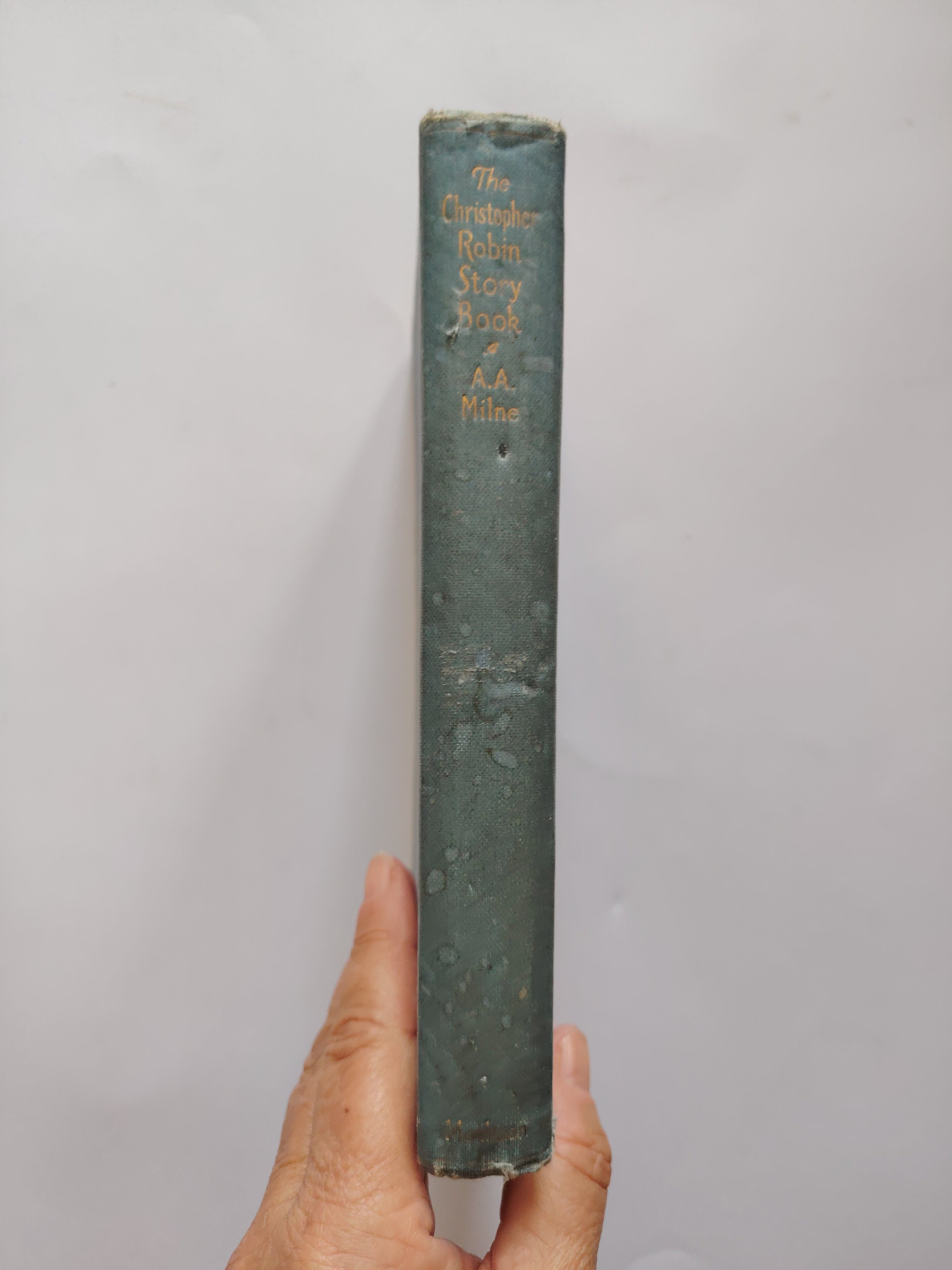 The Christopher Robin Story Book A A Milne First UK Edition 1929 Illustrated by Ernest H Shepard
