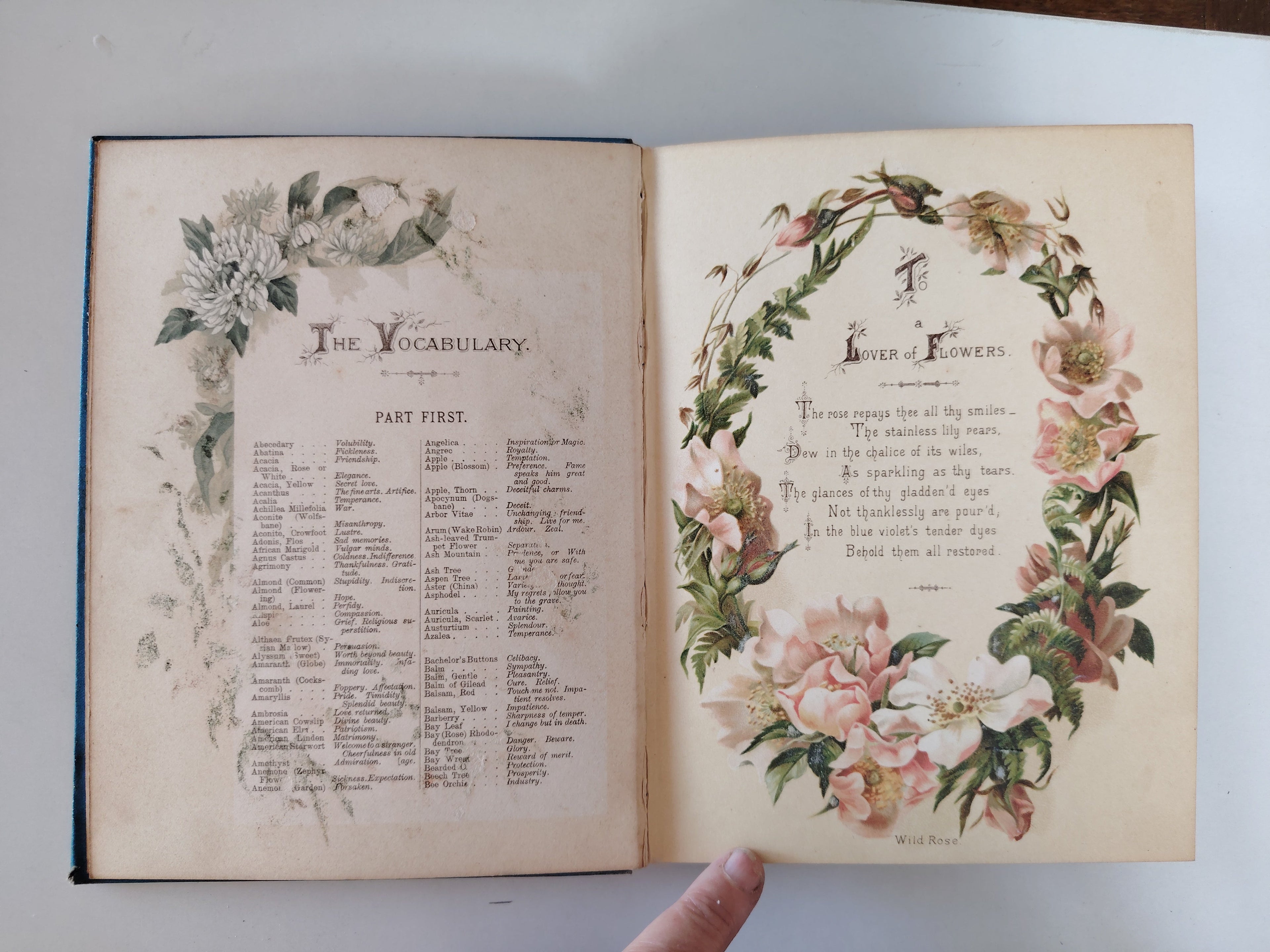 The Artistic Language of Flowers Undated believed to be 1888 Illustrated Book