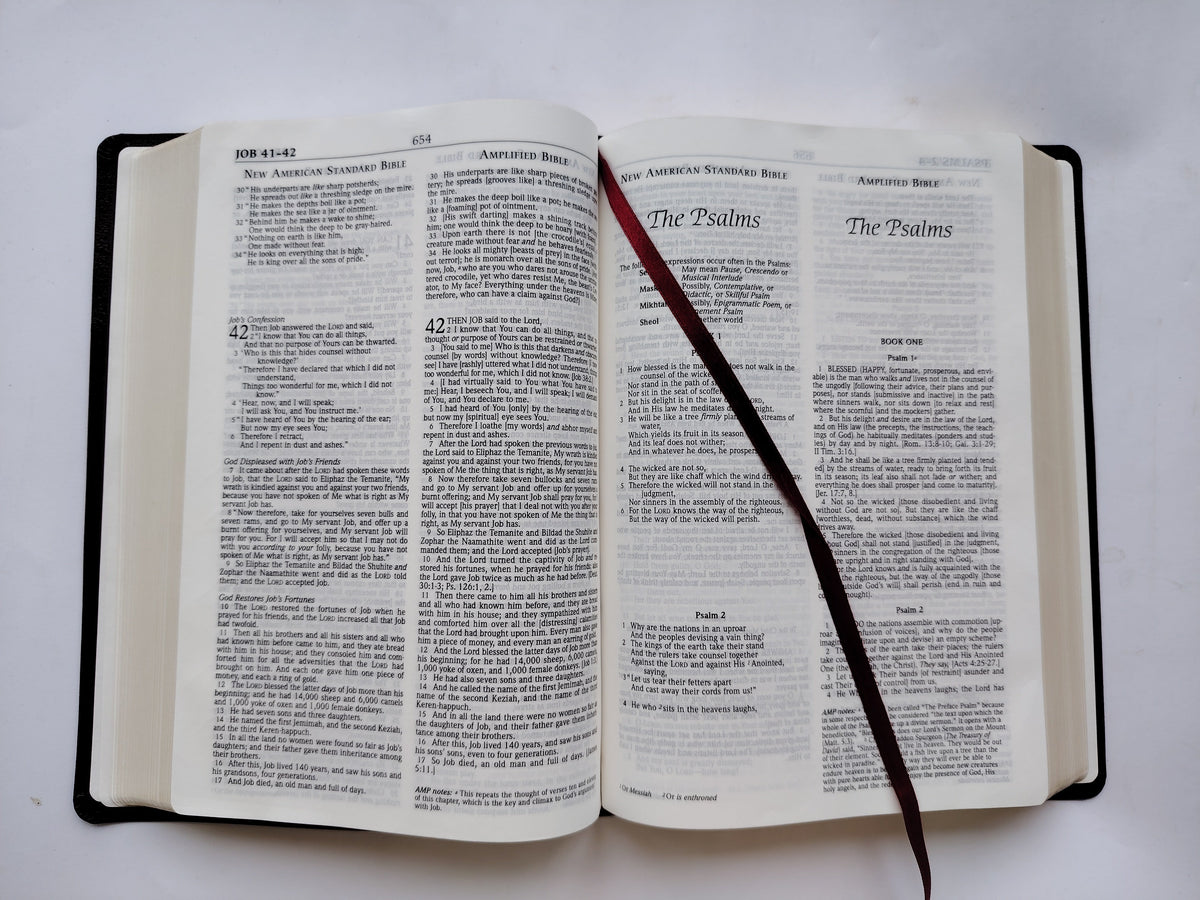 Parallel Bible NASB/Amplified Hendrickson Bibles Boxed Burgundy Bonded Leather Bible in New Condition