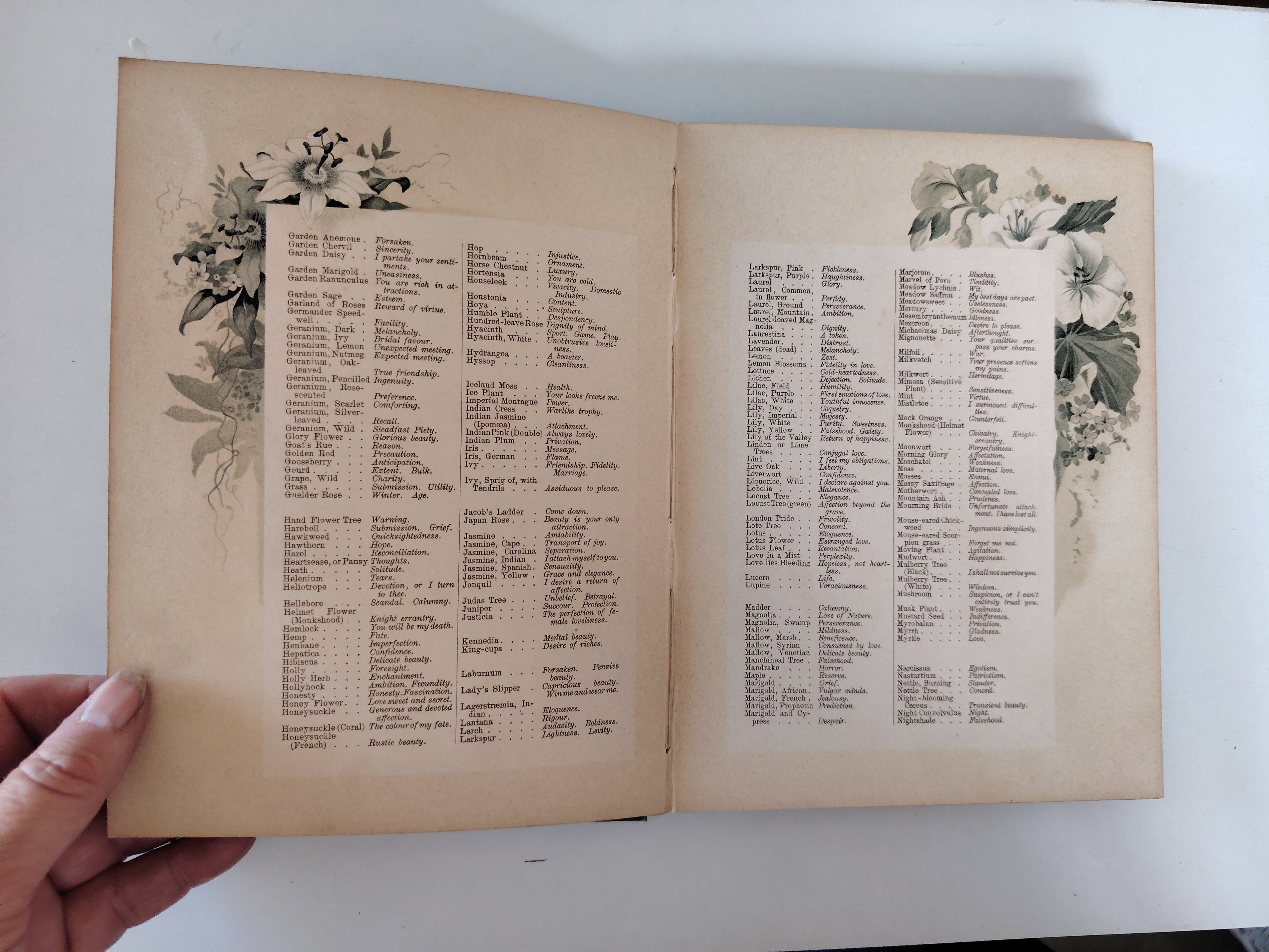 The Artistic Language of Flowers Undated believed to be 1888 Illustrated Book