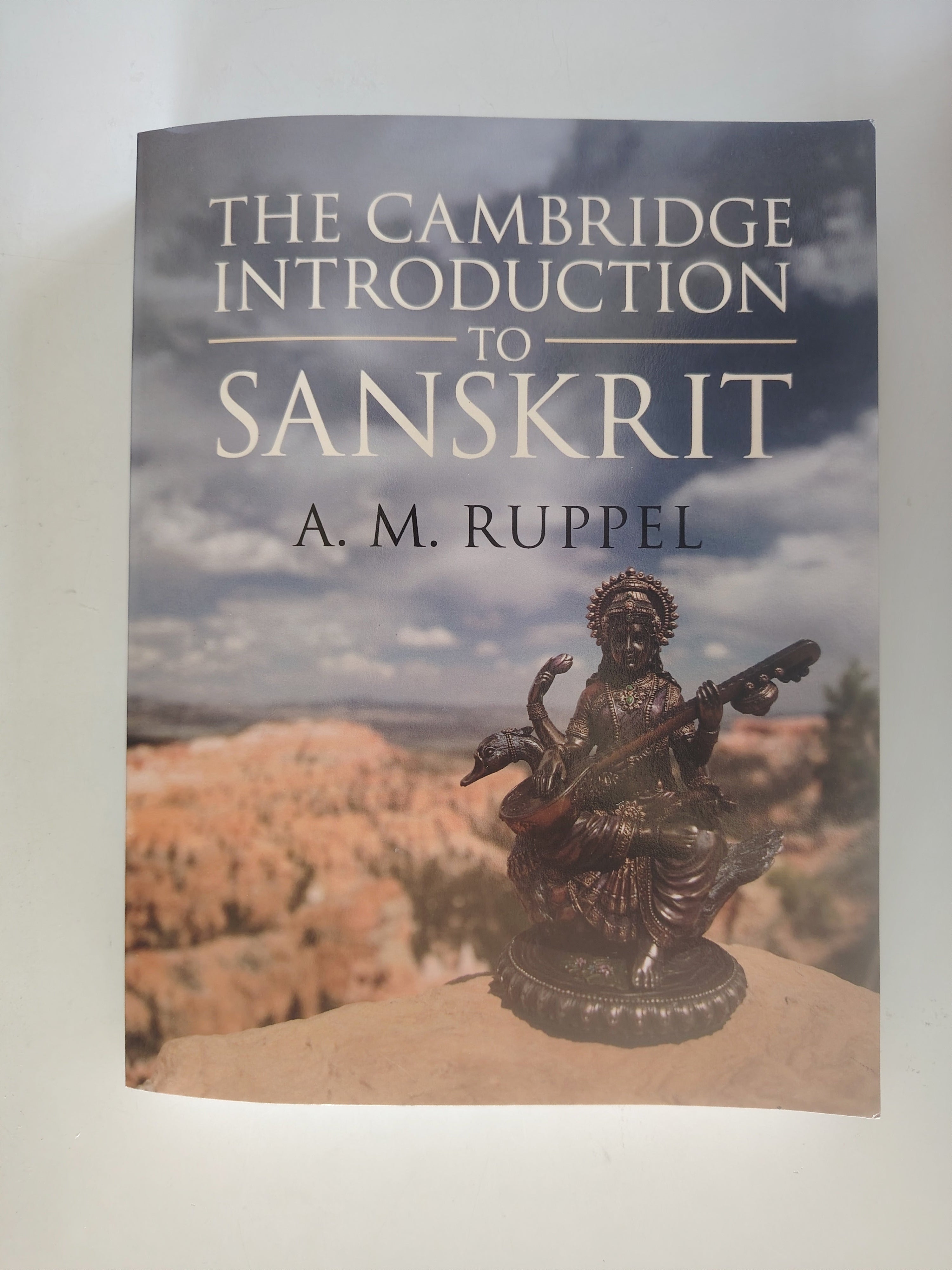 The Cambridge Introduction to Sanskrit by A M Ruppel 2020 Large Paperback Book