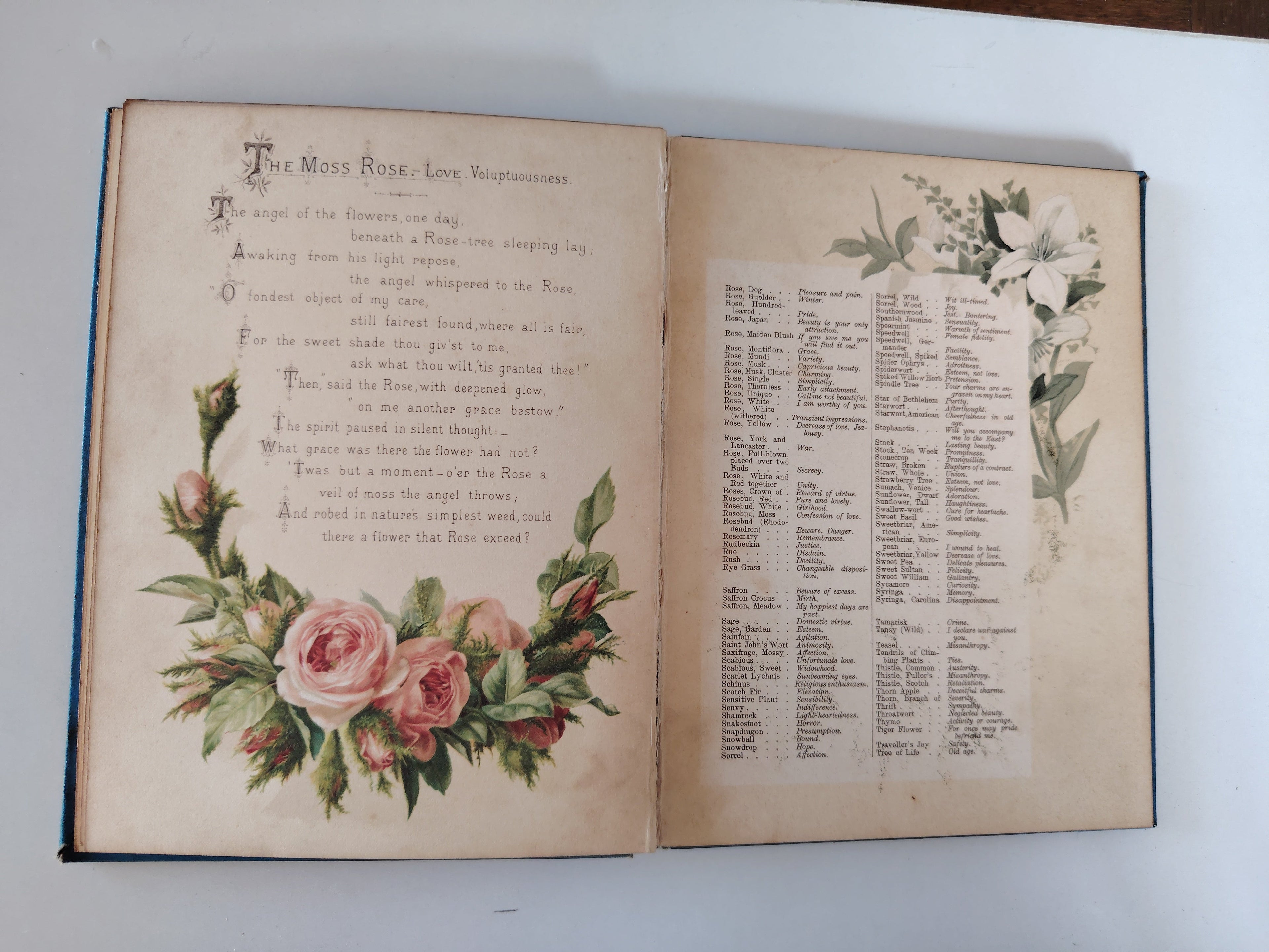 The Artistic Language of Flowers Undated believed to be 1888 Illustrated Book