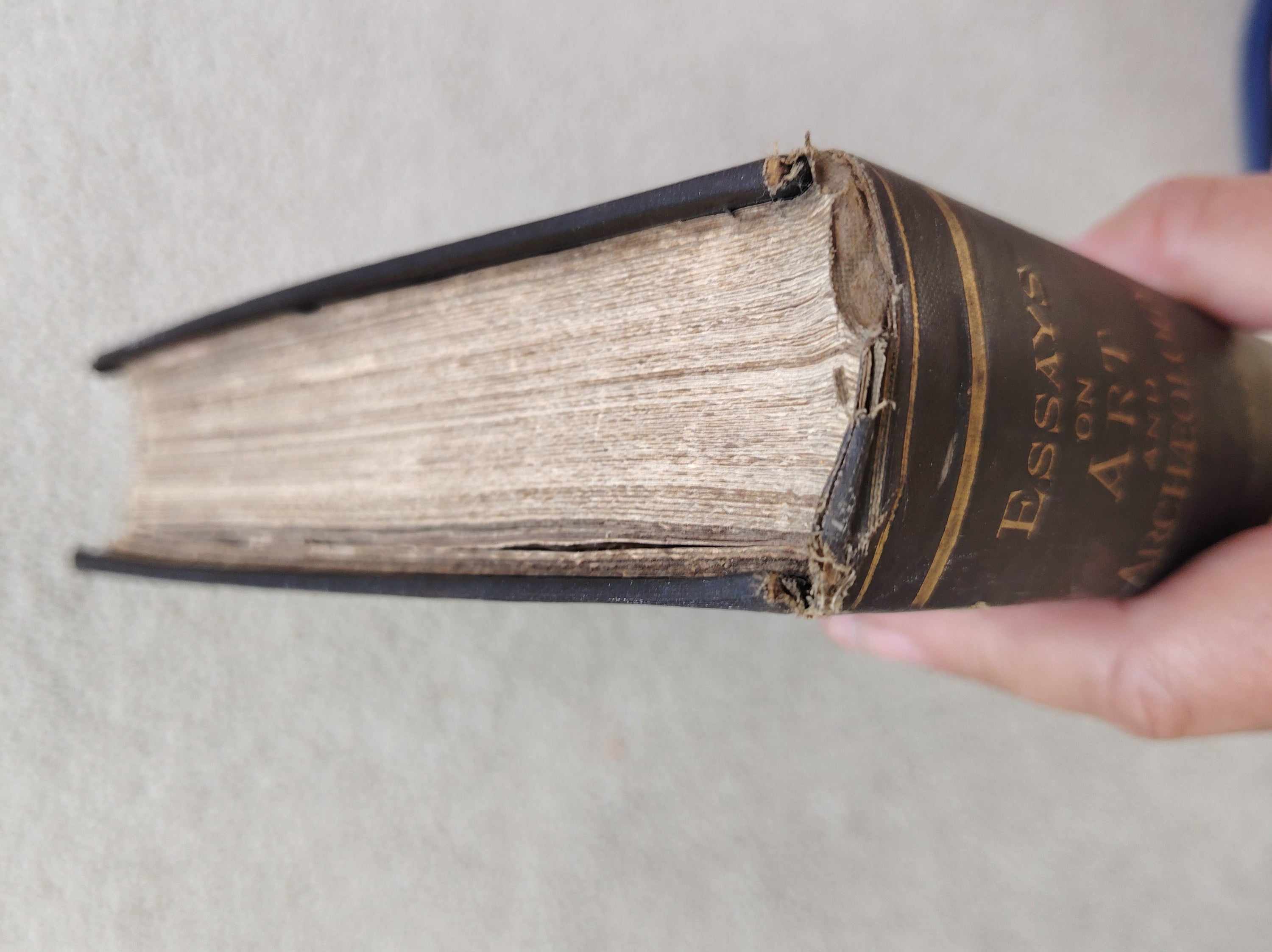 Essays on Art and Archaeology by Charles Thomas Newton Macmillan and Co 1880