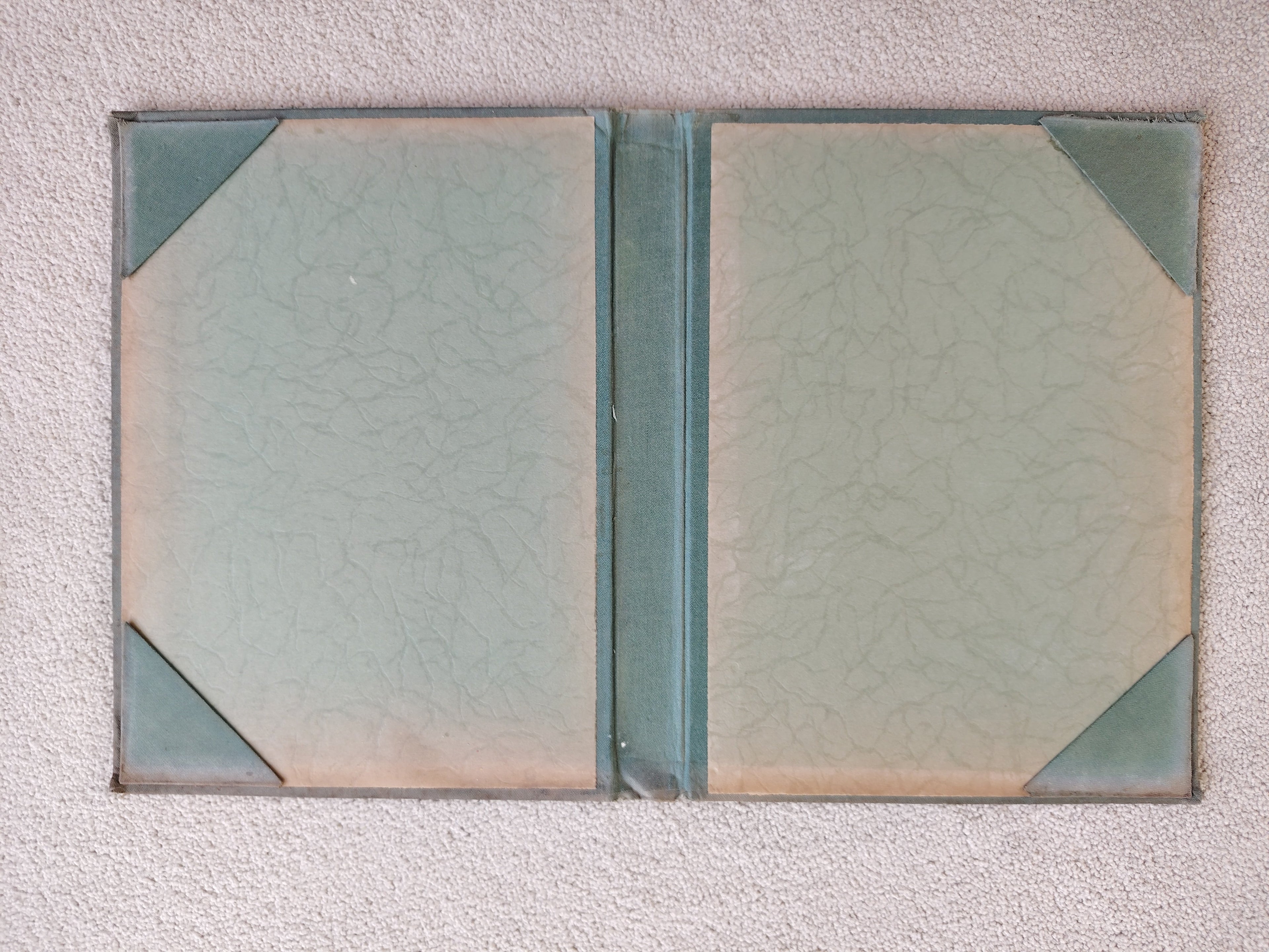 Illustrated Catalogue of Mr Robert Walker's Cabinet of Old Fans Sold by Sotheby Wilkinson & Hodge 1882